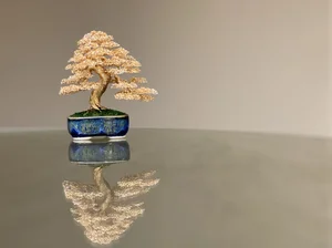 bambus zu nass Bambus Fargesia 'Pingwu' - Fargesia robusta Pingwu main image 0