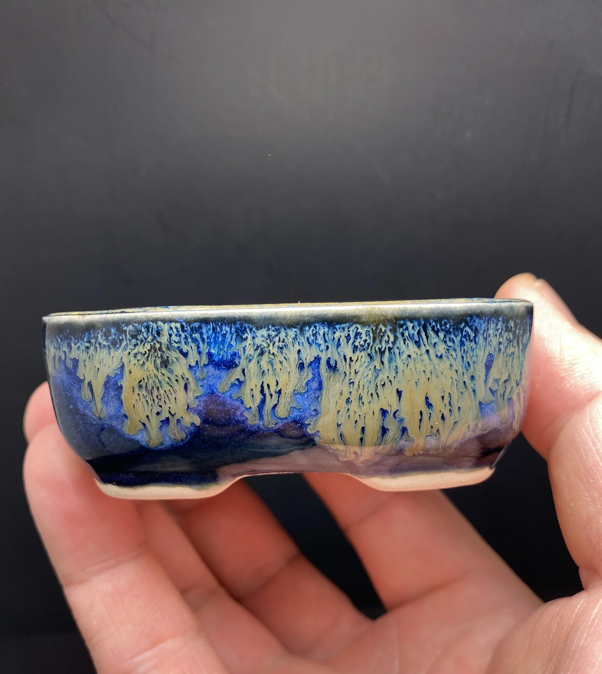 3C5FEDE9-8E93-412B-A44E-E40B56E26EC7