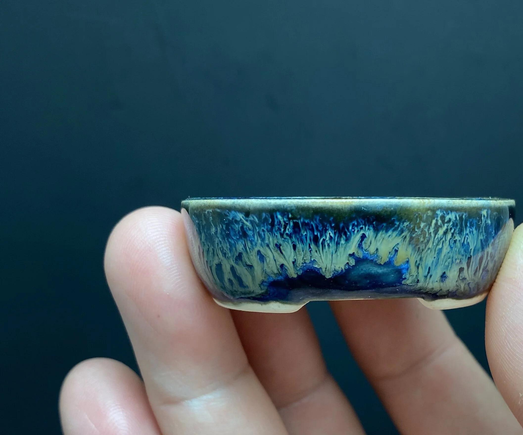 66297F7C-21DA-4C6B-9313-A592F7FDC33F