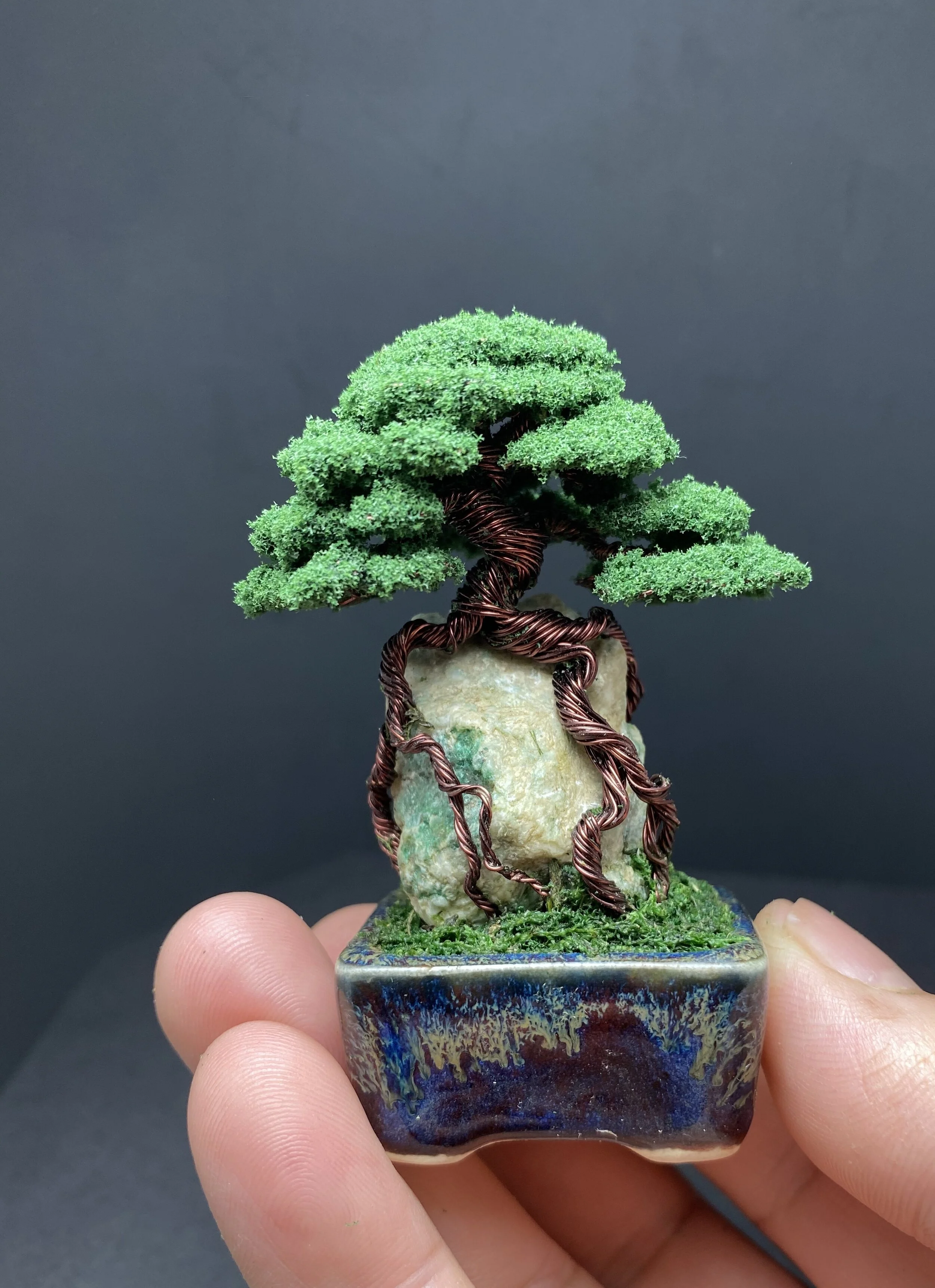 E58101E2-54CF-4D84-8586-29C444BA9328