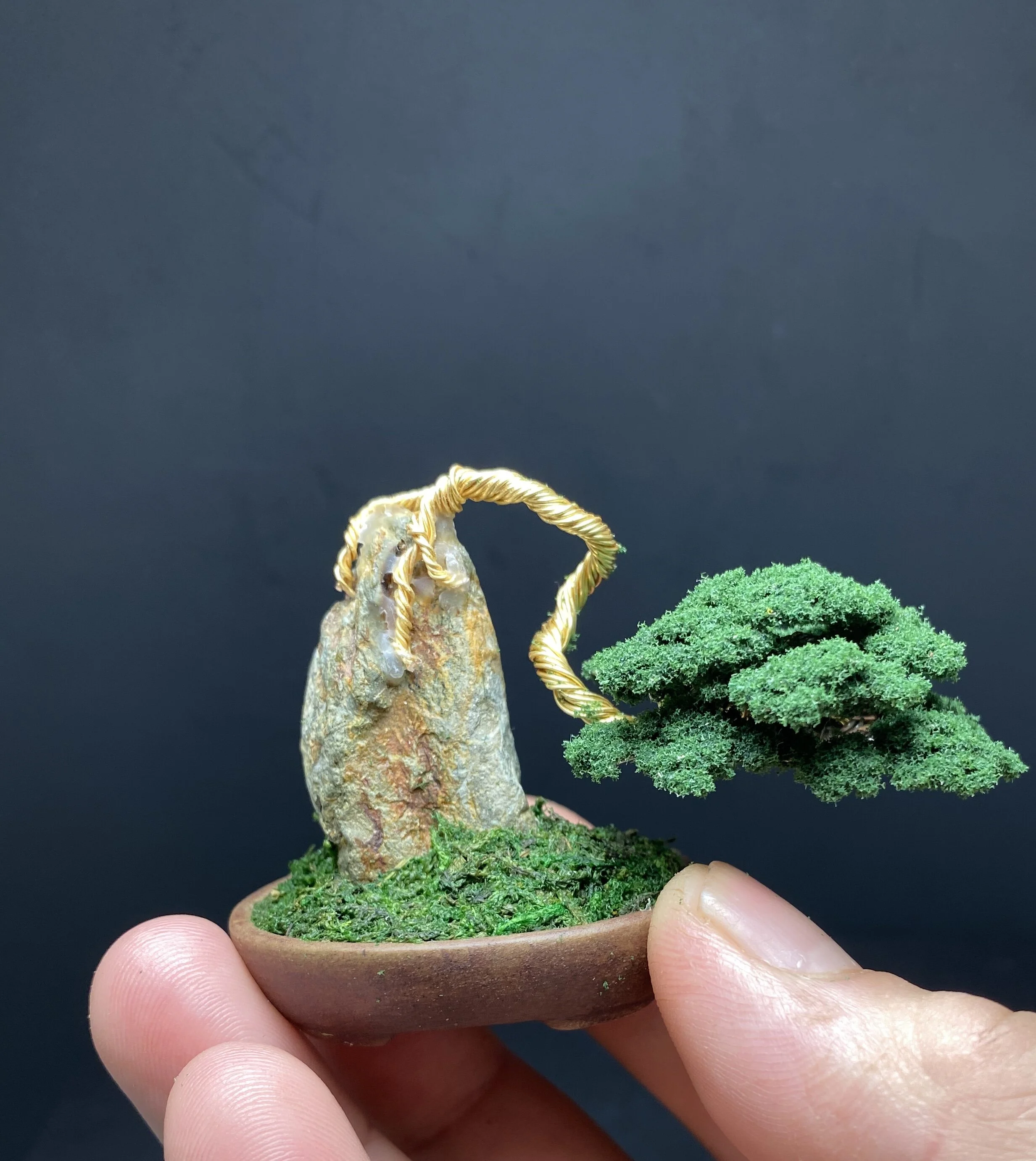 111BF33E-AEC4-40F1-AA22-D5E1870C2E24