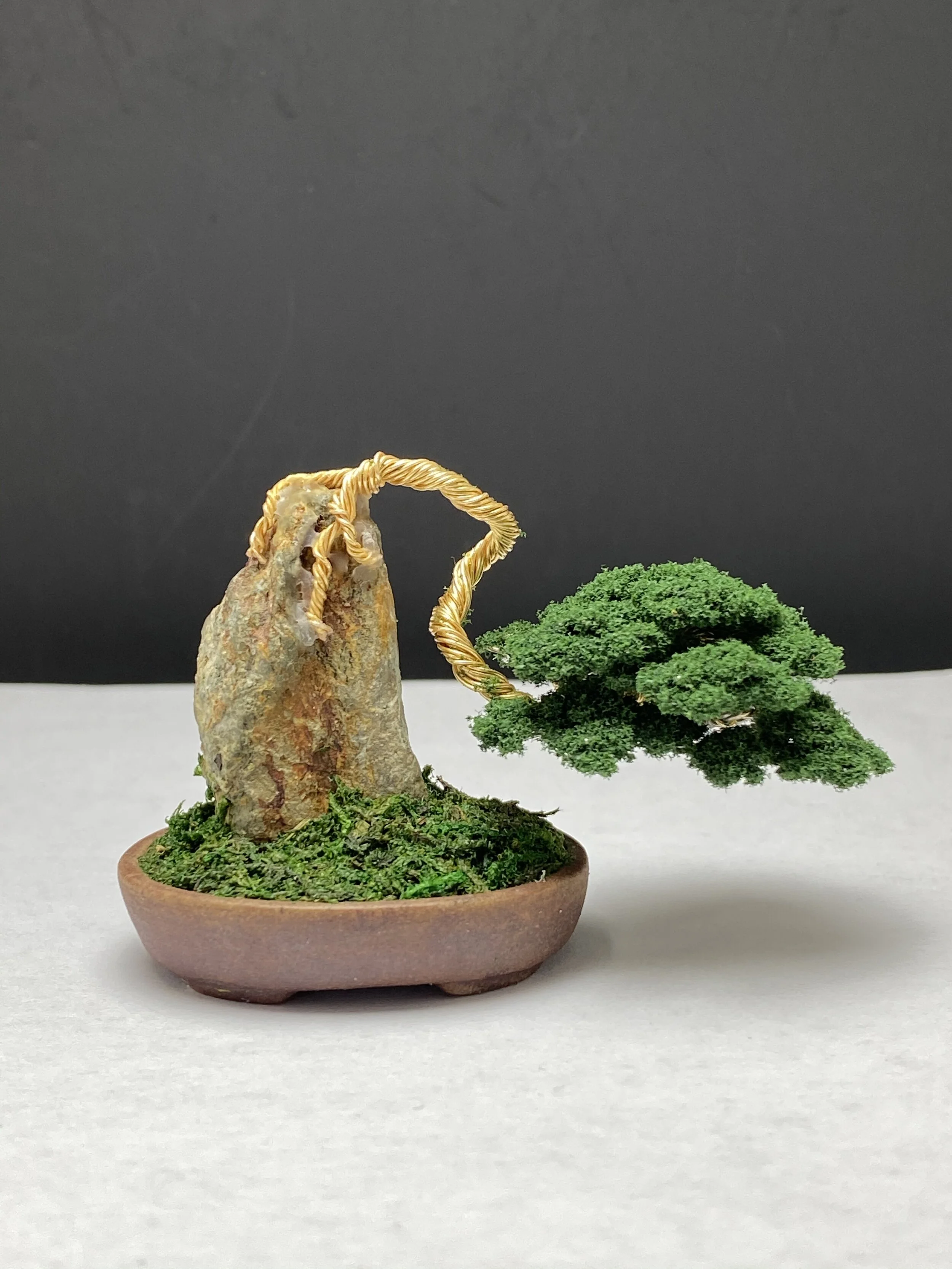 D532CEAB-88D5-46B8-B975-AE4D257032A4