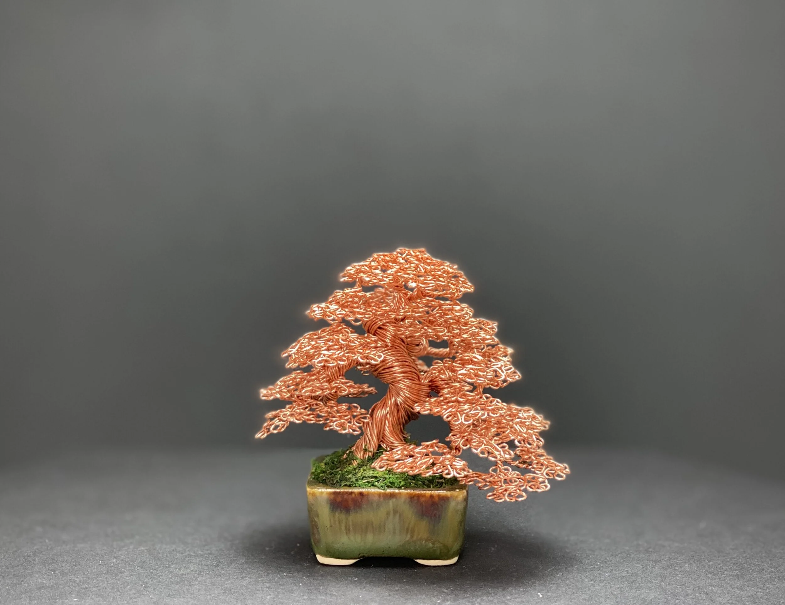 74A4C869-5AA8-4D7E-84A8-1B7A332A4AD5