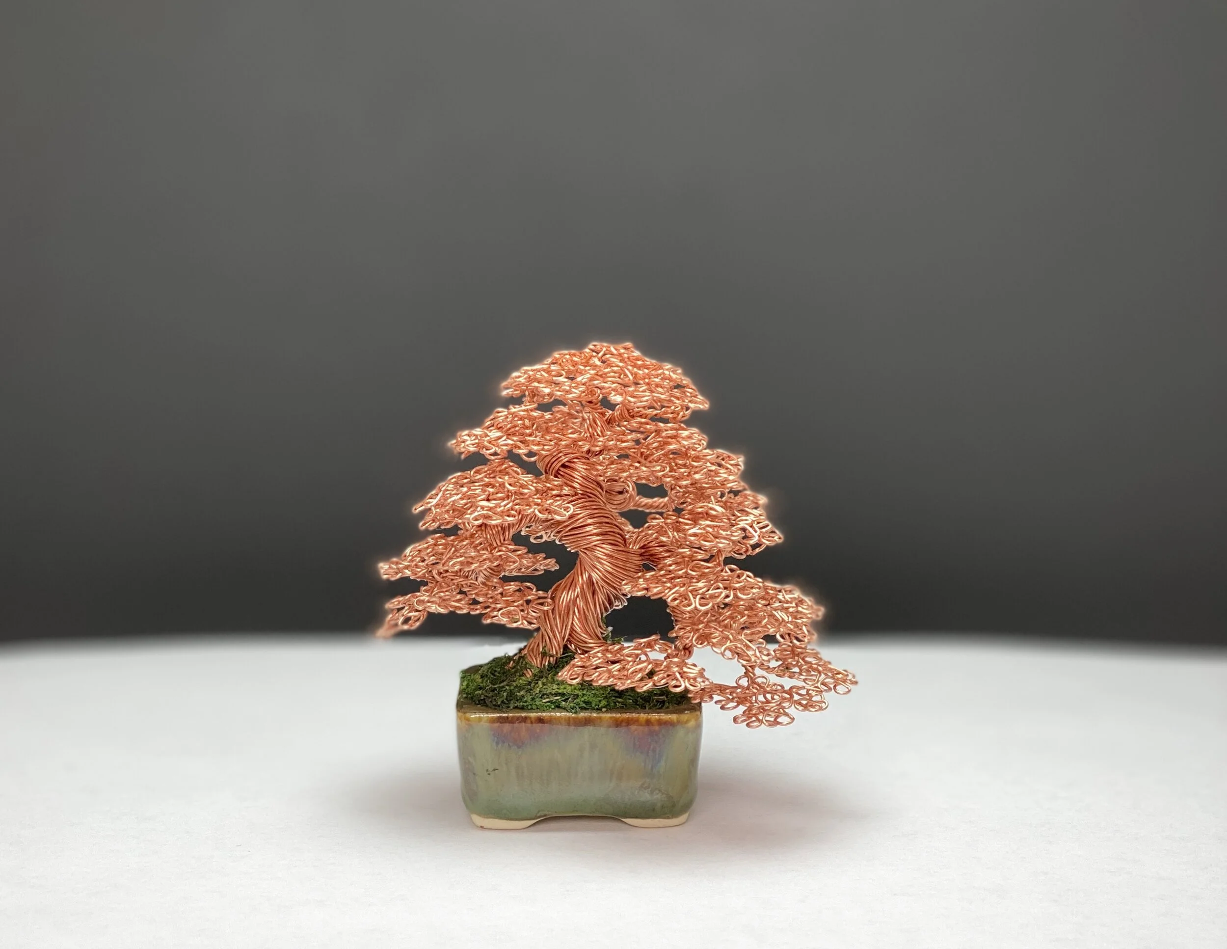 99D1A28B-CDCE-4FB9-8D25-32461B638193