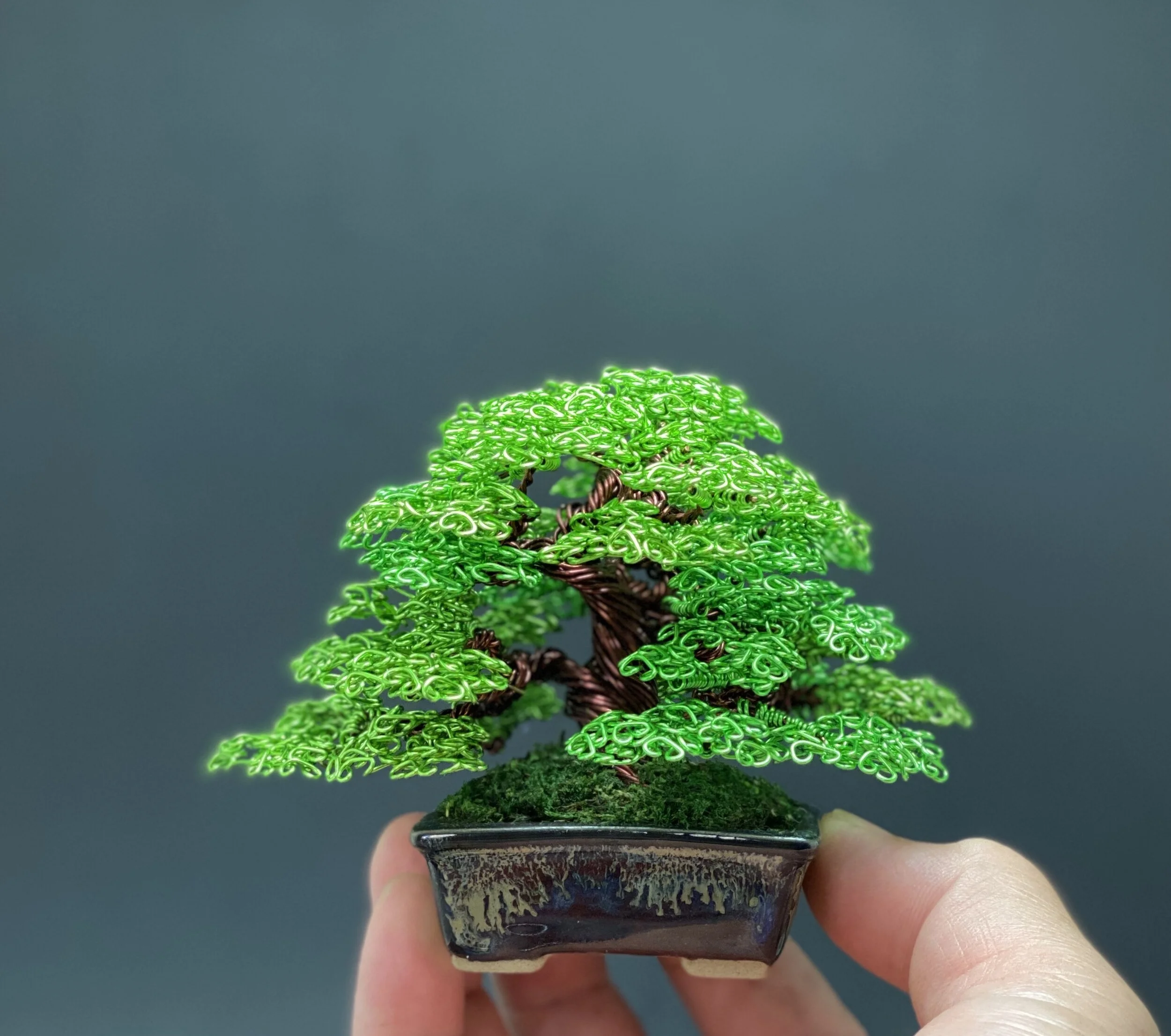 02A7E0E7-FC3A-451F-8096-2C155E2BF9FF