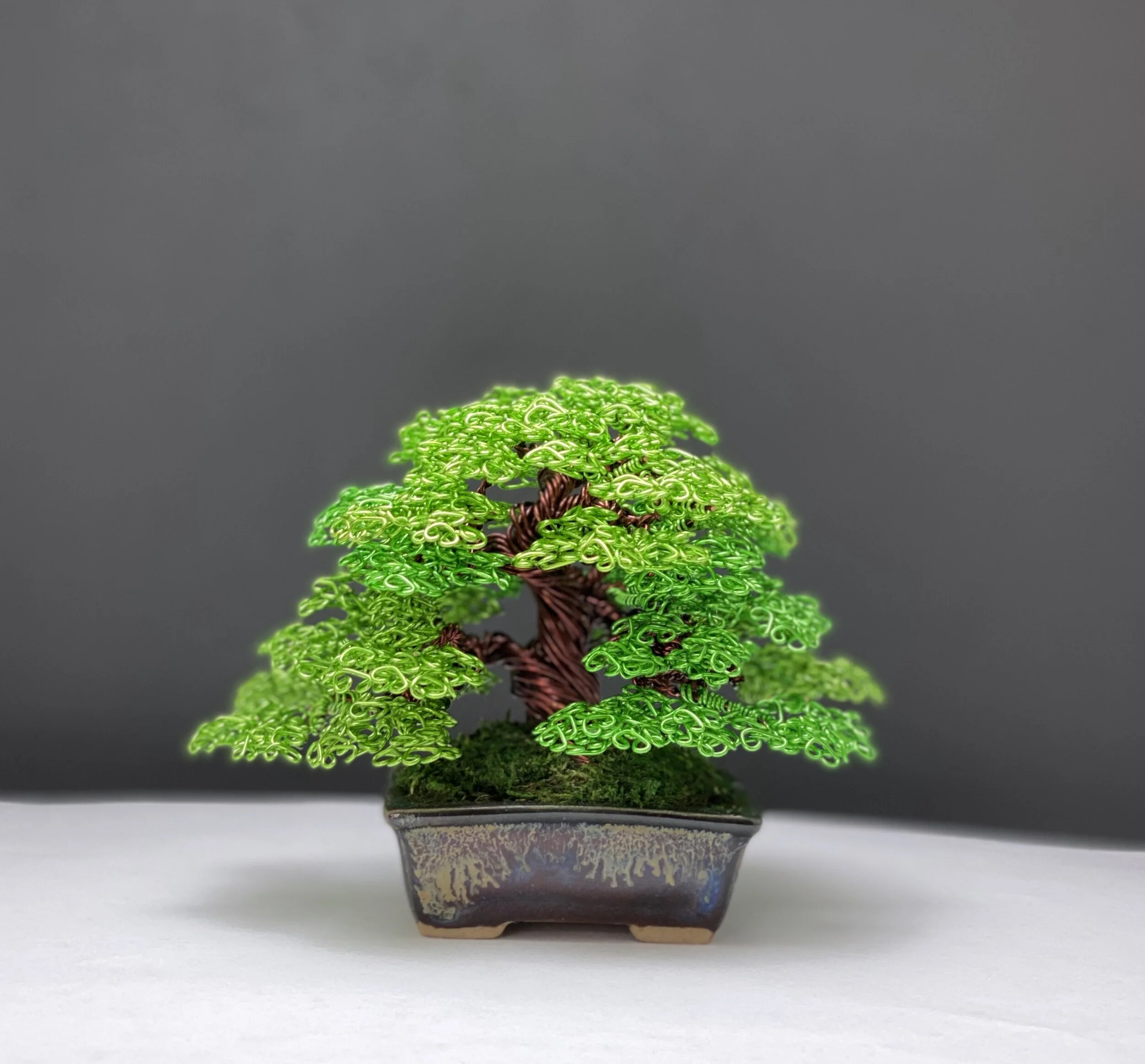 A5A3230B-B4AA-453F-847F-45C33F757DAC