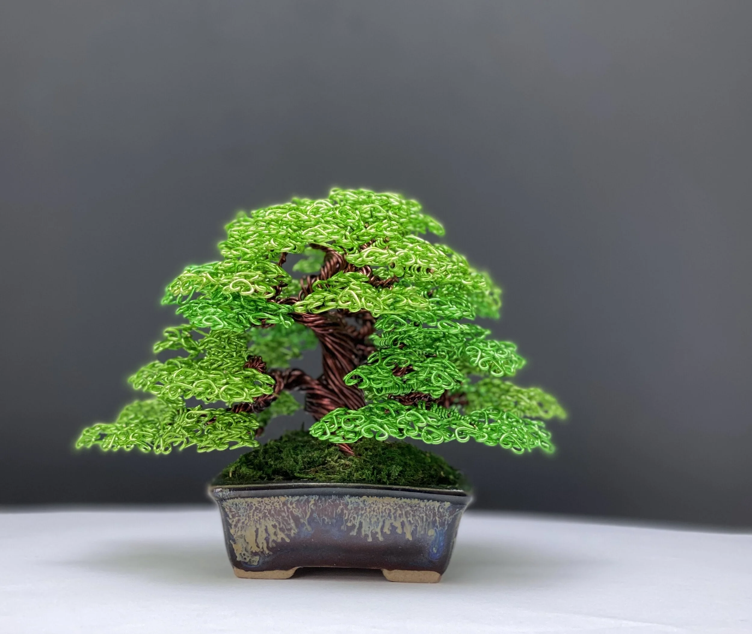 28A61E5D-09CF-4641-BB62-11837C0BECAB