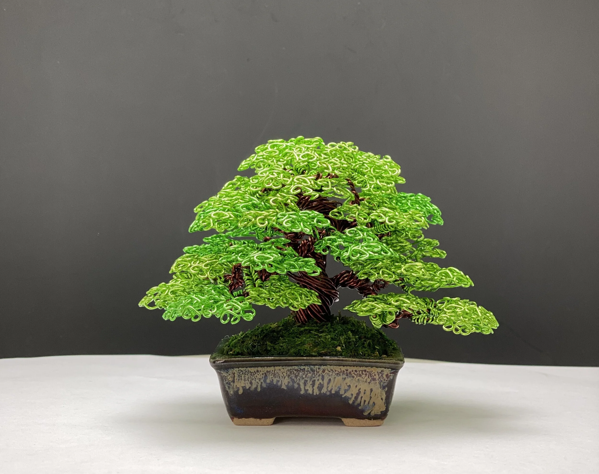 55CC000C-87D7-4F44-8570-03AB3B1330CF