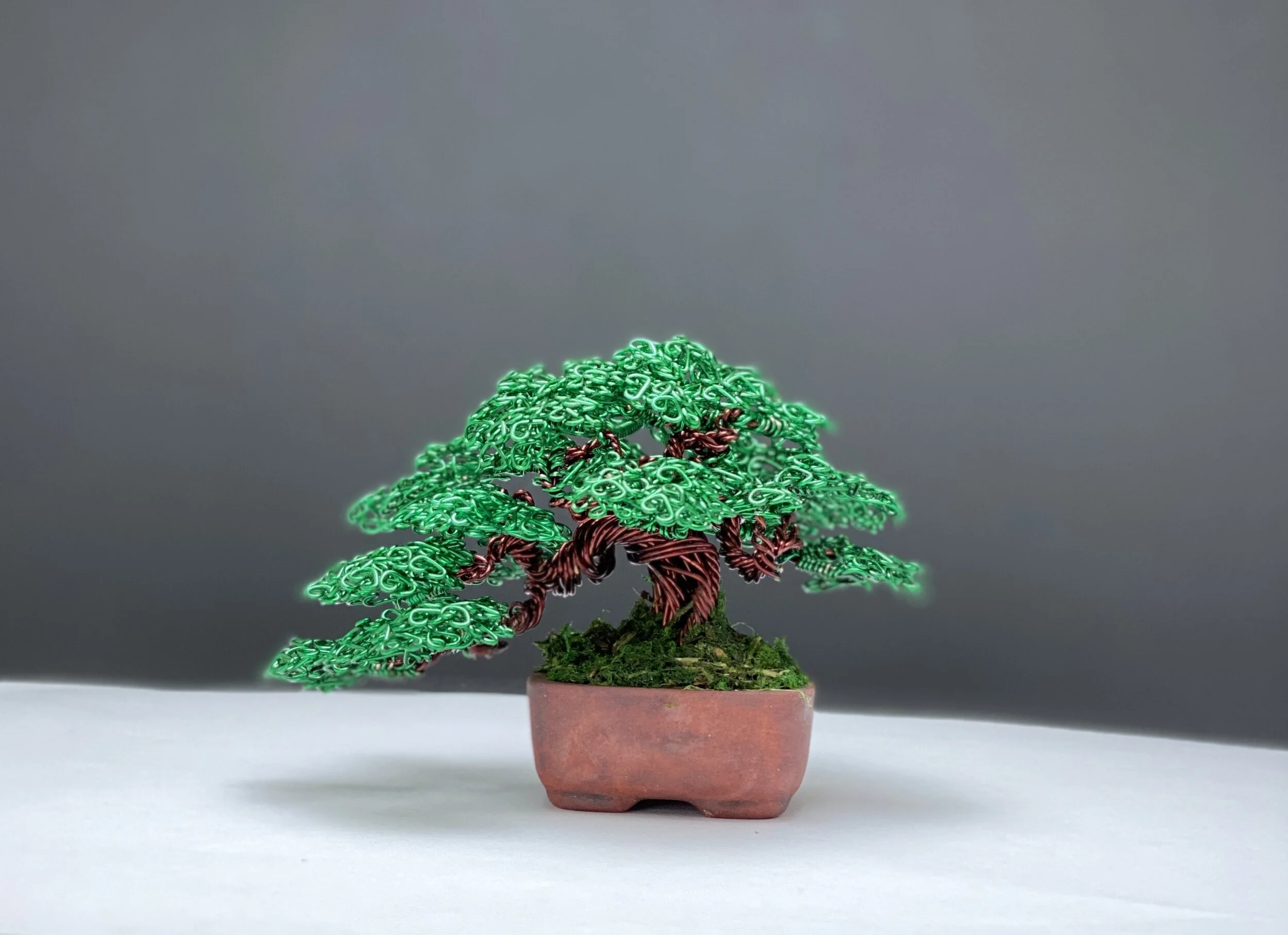 571C3E02-A8C5-48D1-900E-4BC69ACDEA6E