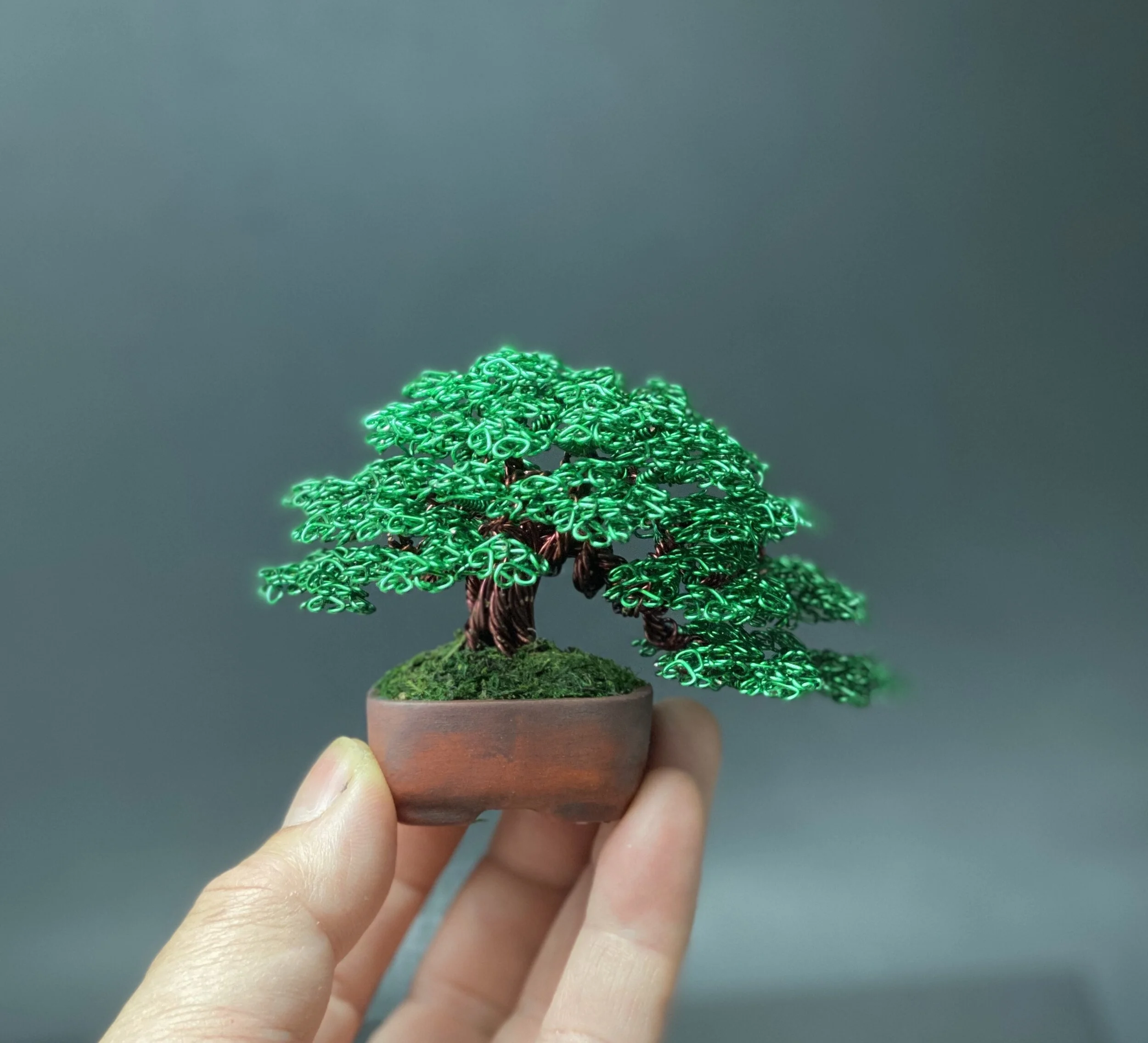 9D286CD2-683A-4E58-B951-C2B3ECC01AE4