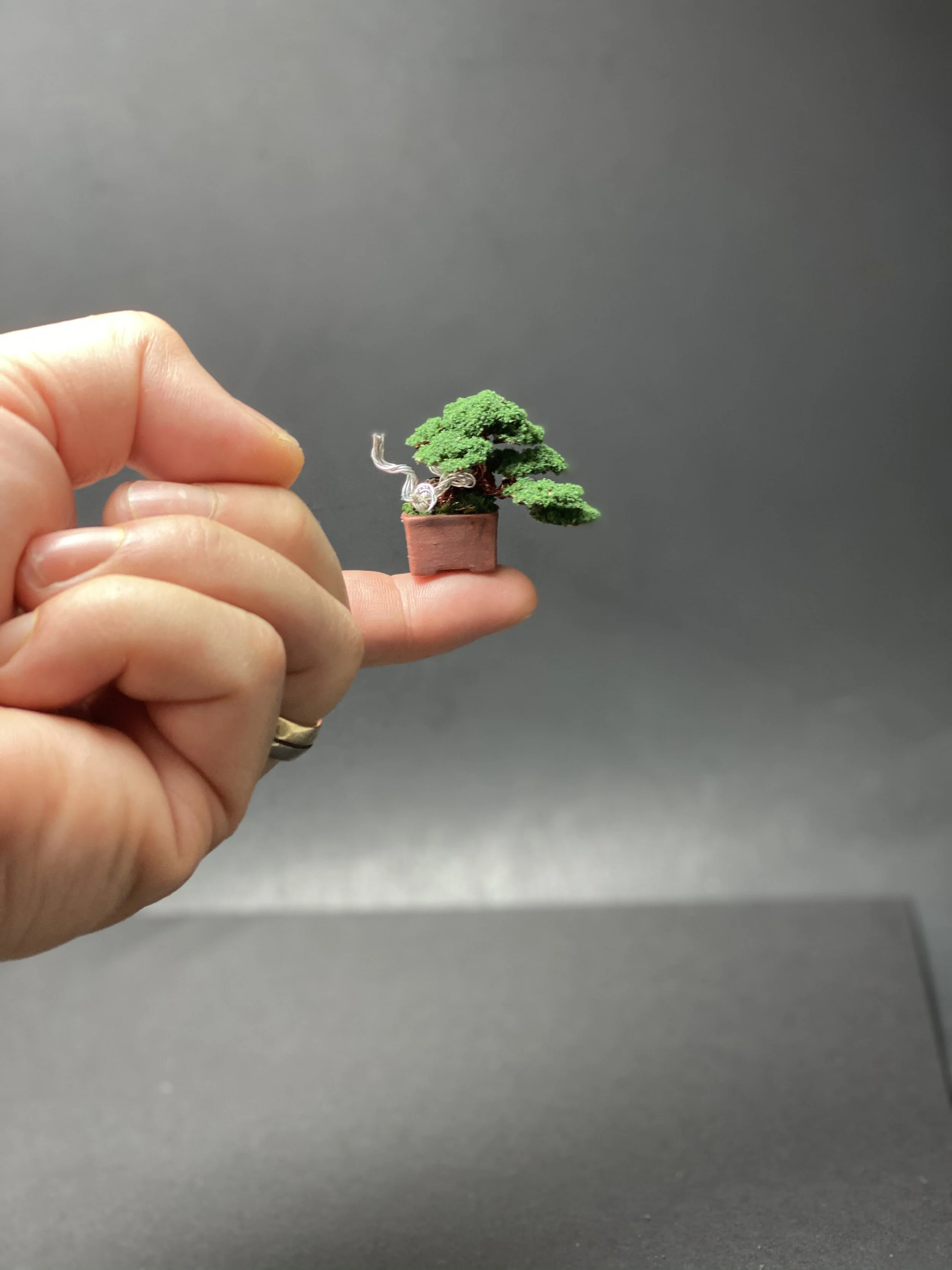 B4B1F5A6-4897-4217-9AB7-7046201535A0