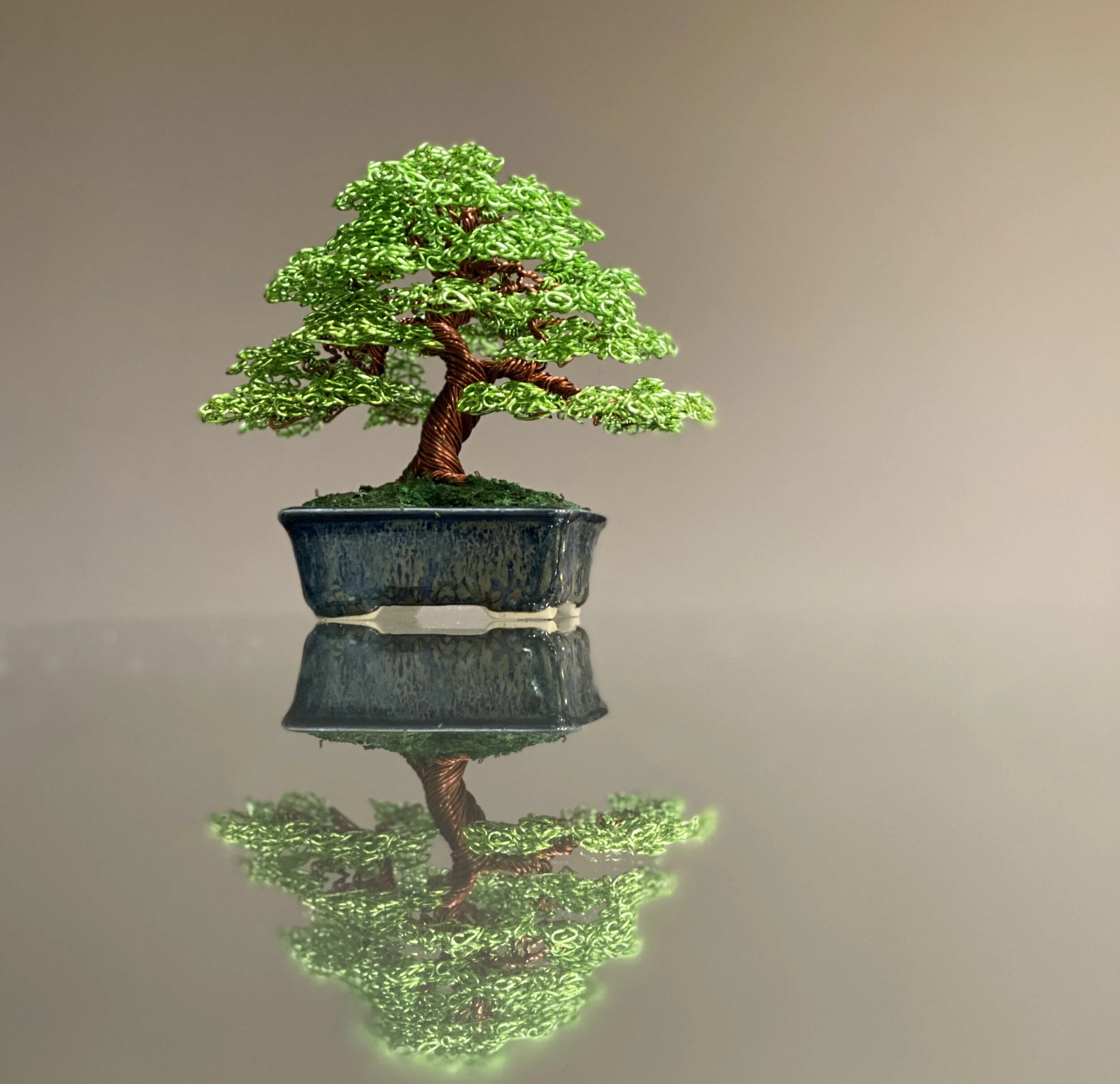 B4A2A859-F192-4501-BF59-0D3D9C3EB55B