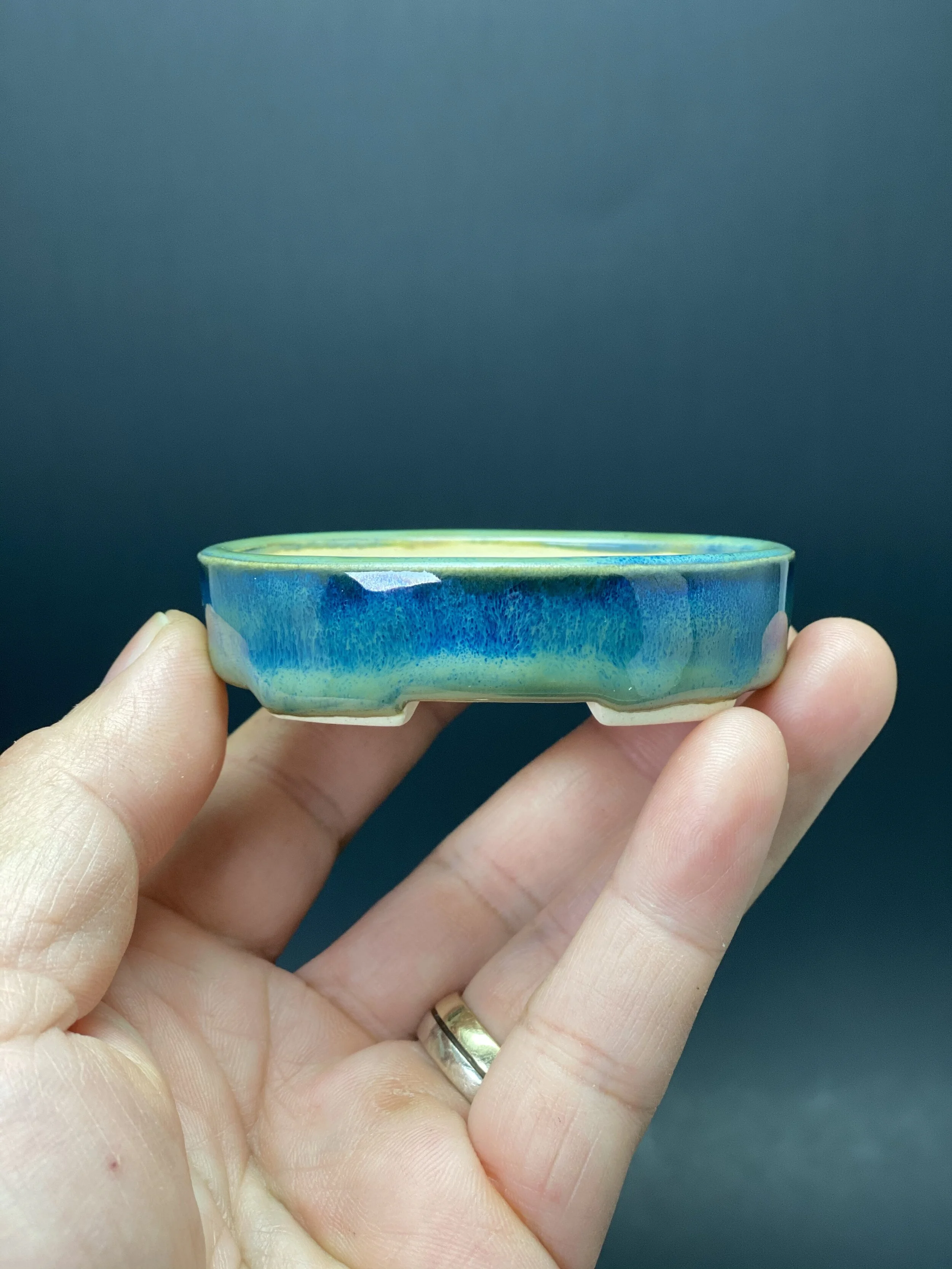 D88B2369-E716-4D82-9193-64903DE2FBEB