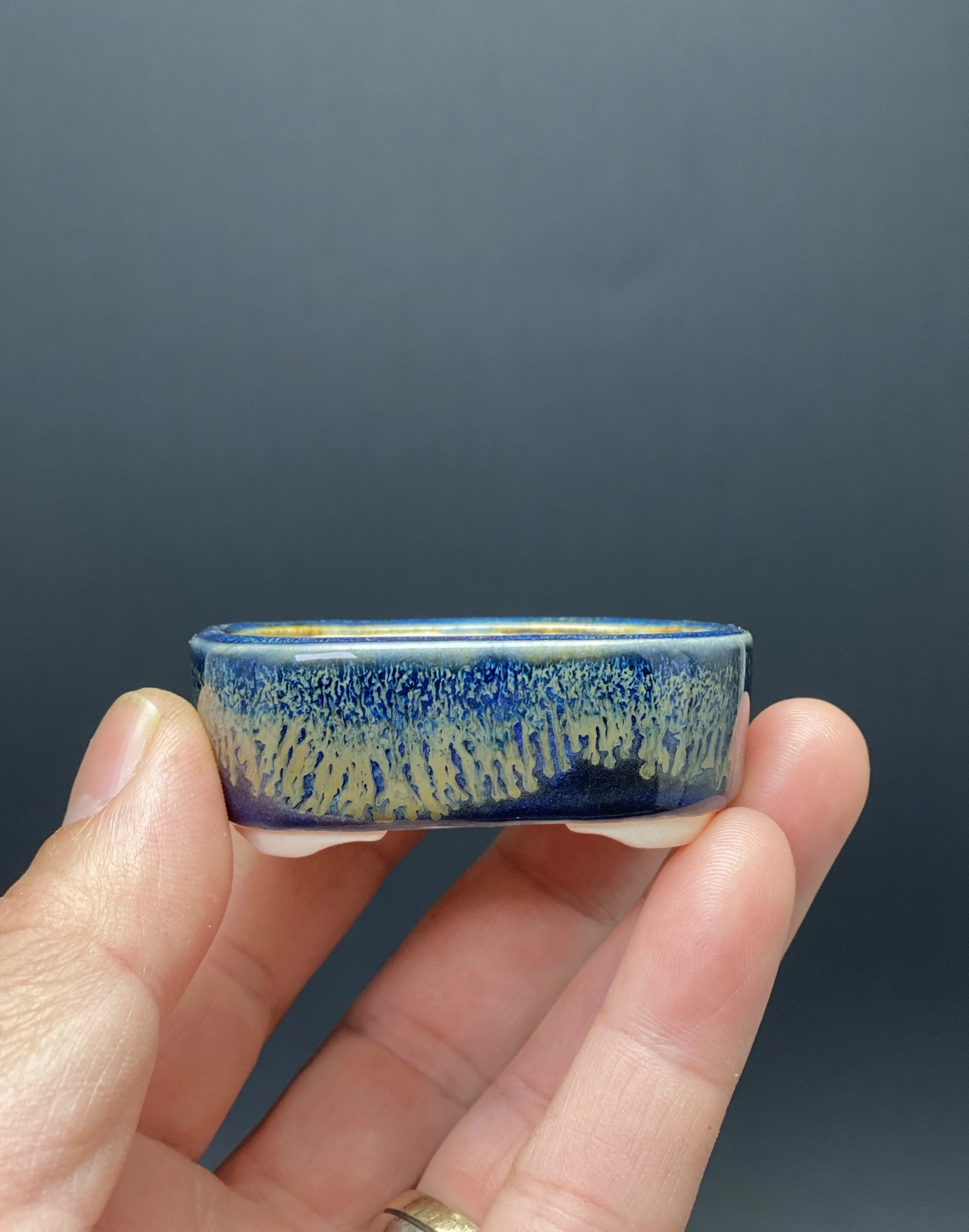 09F9B85B-5FE8-4F1B-AC10-5B4E83A0A100