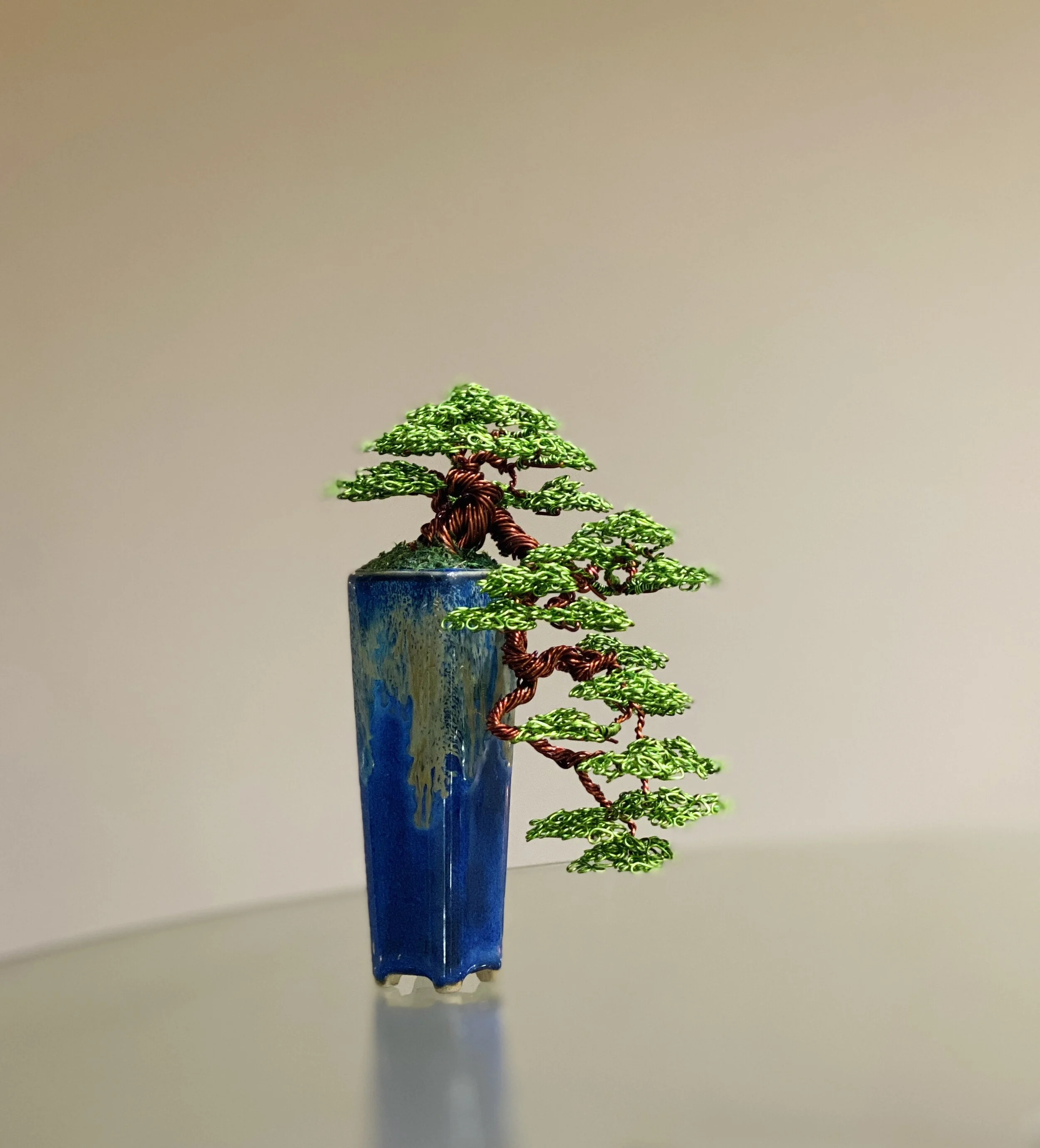 6D1AC27C-A2F4-4785-B4B4-0C13DDD1B5F6