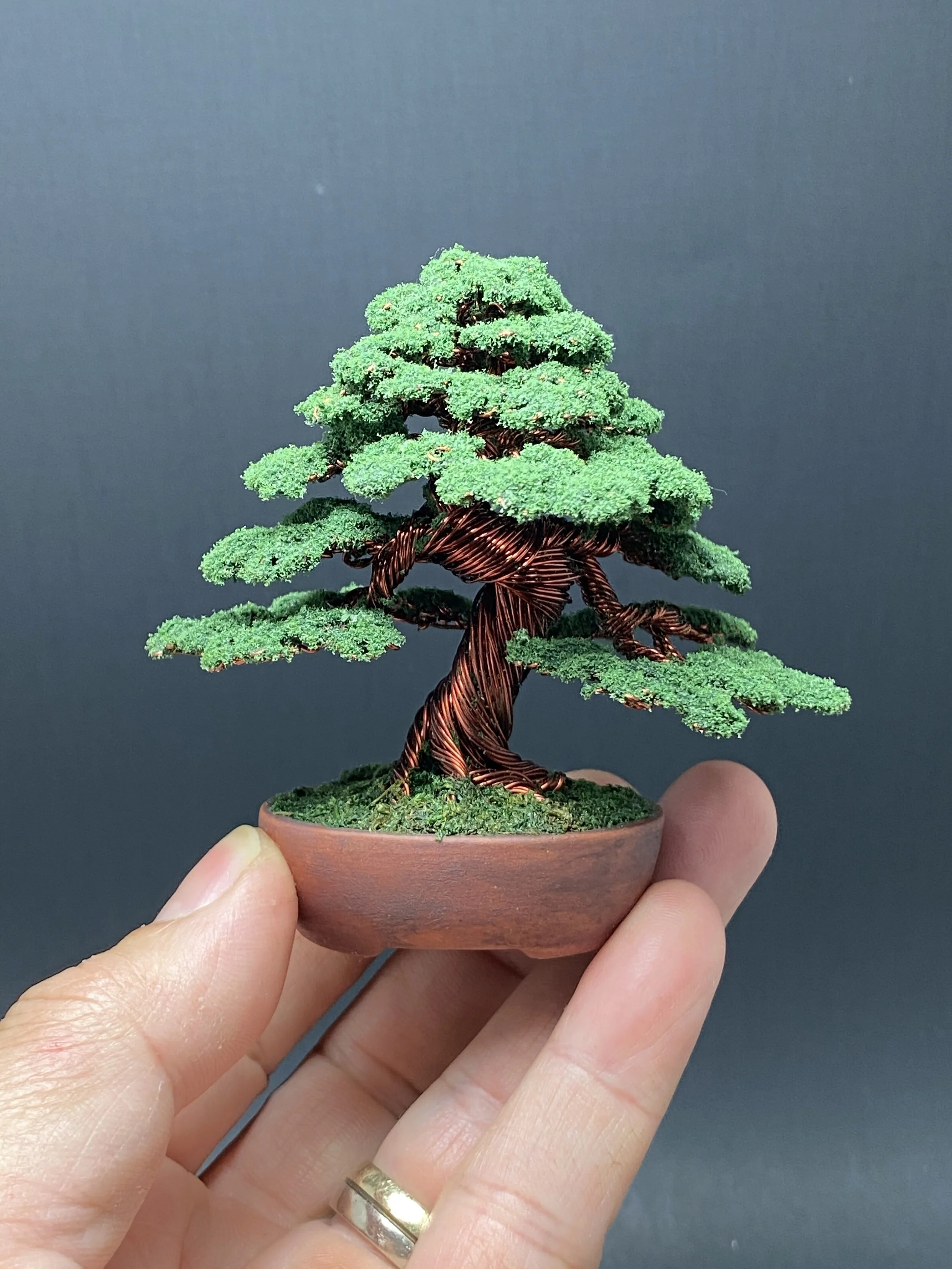 FCD1D542-5329-482C-B47B-060190CE7445