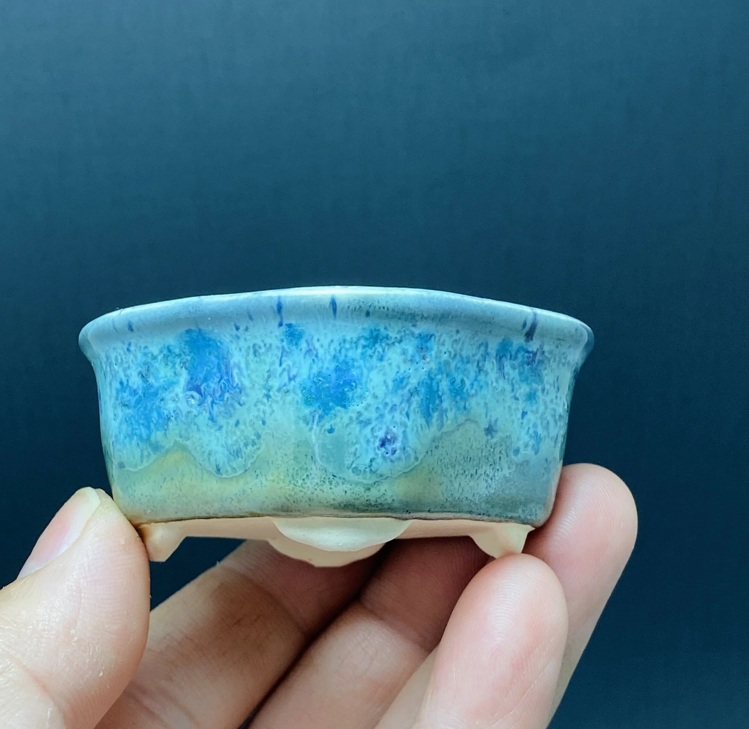 E9F17AD0-BB6B-492A-B1BE-021887E026BF