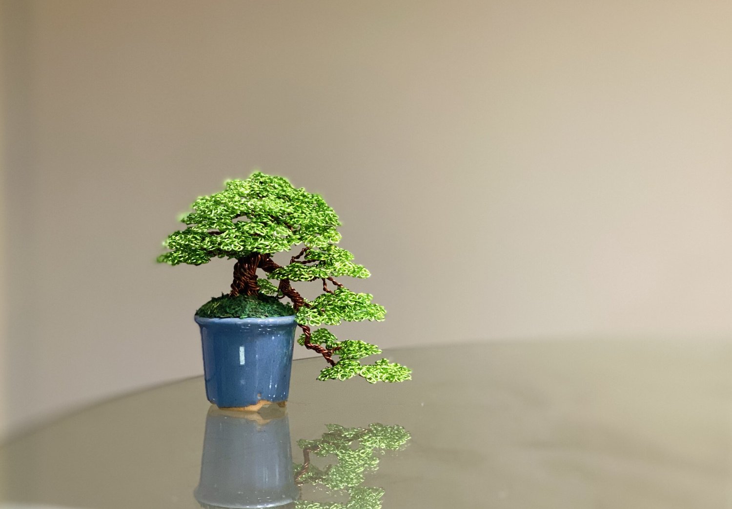 bonsai fazana Fukien Tea Bonsai Small ( Carmona Retusa)- Out of stock  Zen Garden and  Bonsai