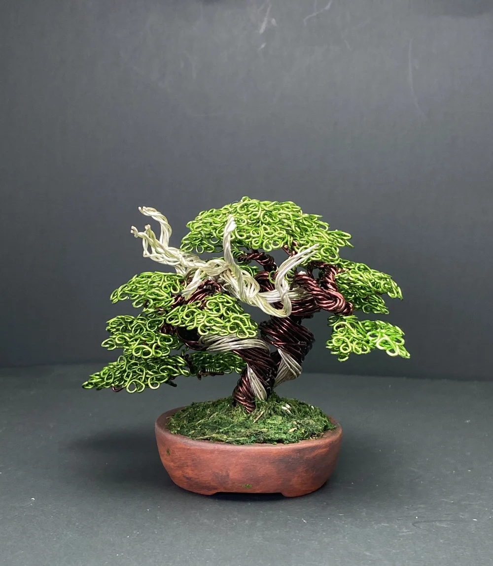OLD MOUNTAIN オールドマウンテン掛物TRADMAN'S BONSAI OLD MOUNTAIN TRADMAN'S BONSAI カケモノ OLD MOUNTAIN