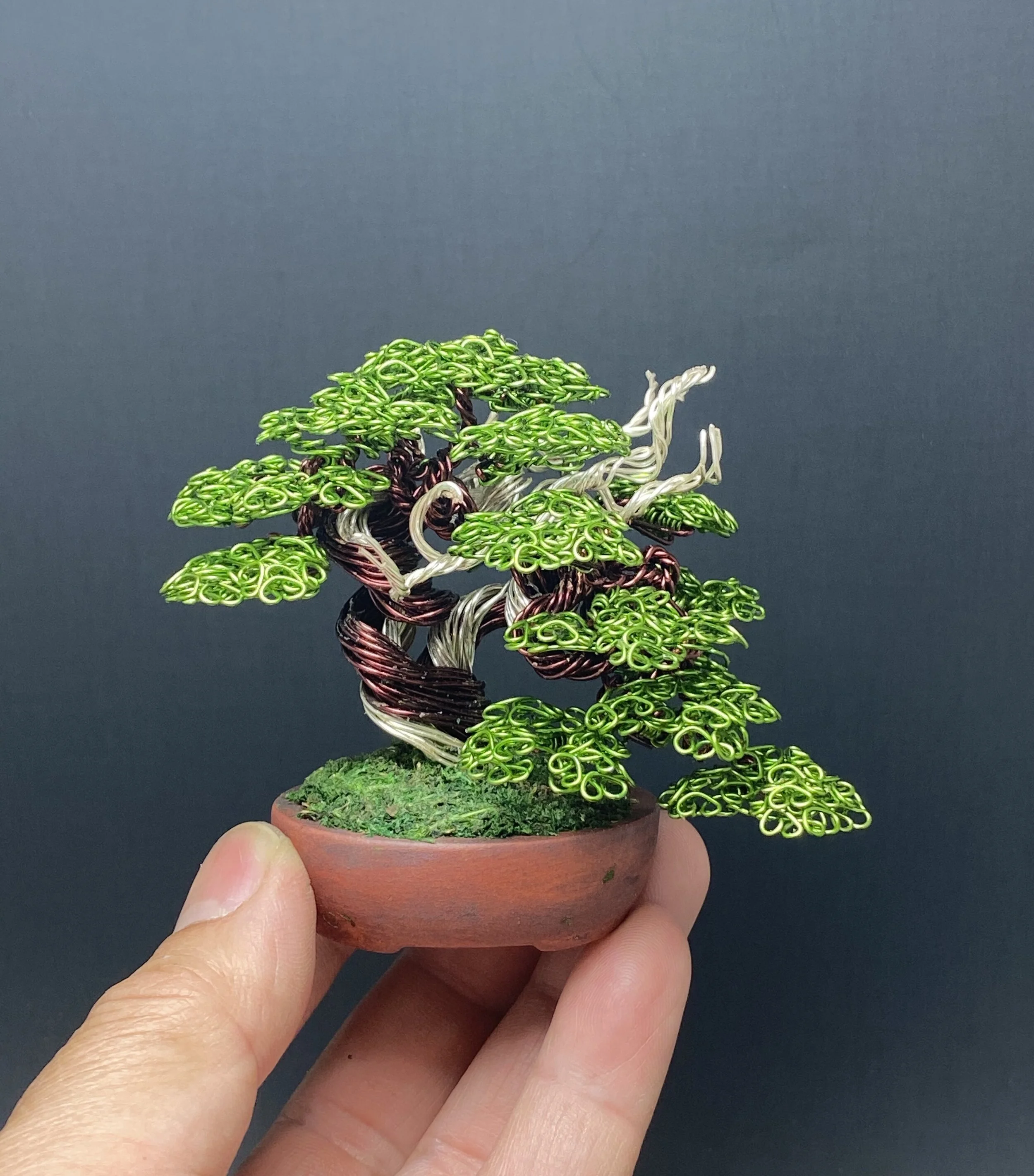 85D9714E-8F59-4E7C-B45E-0E5E5F1B5F9D