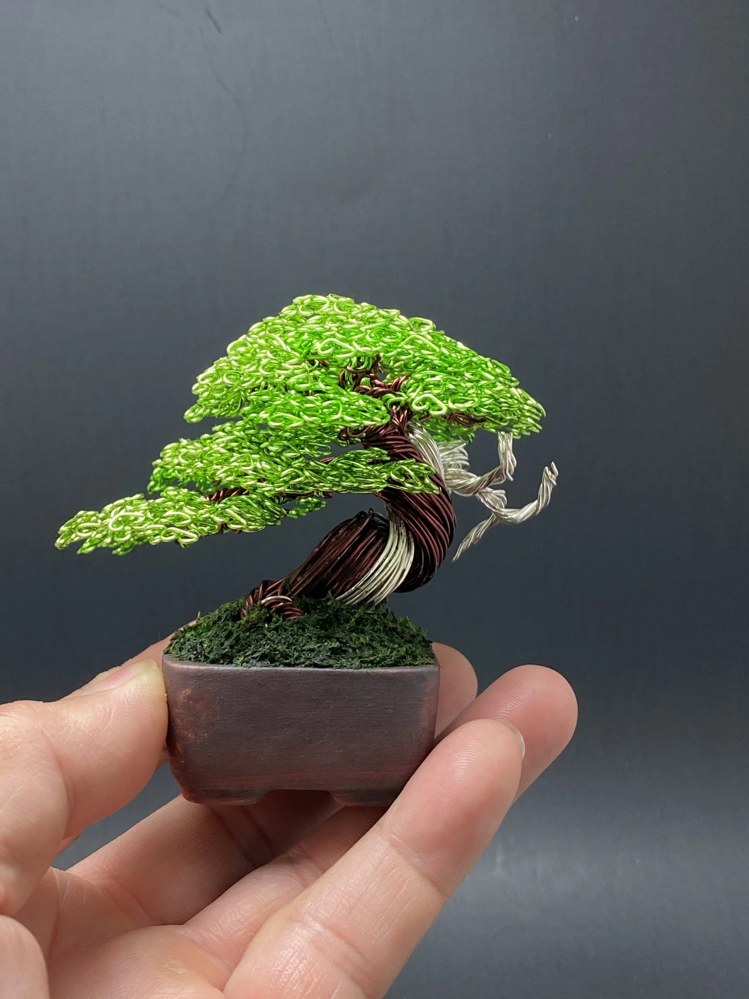 F4804DF8-2B42-4A1B-92FB-0289F61DD7B4