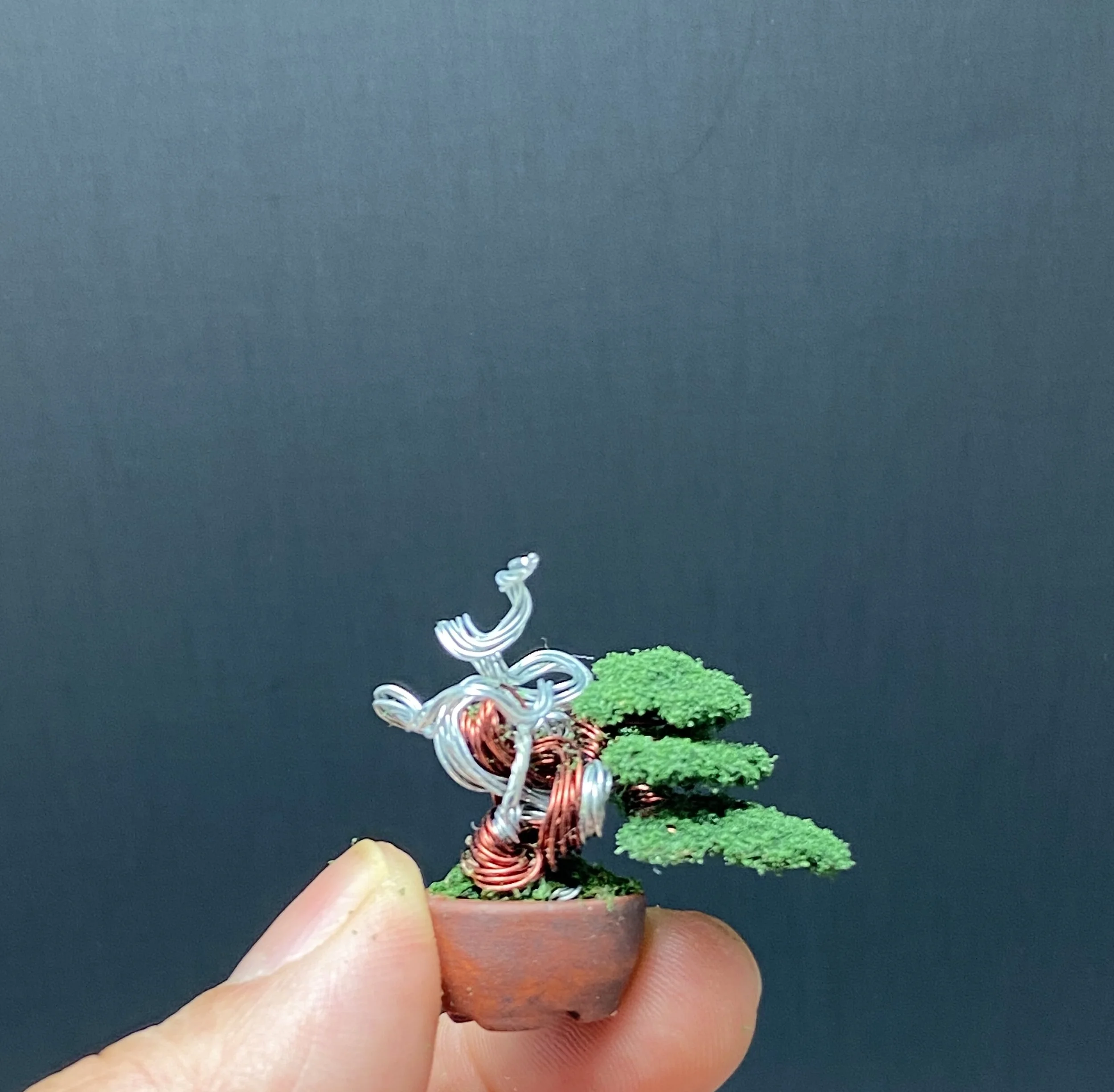 44967C06-F157-4776-84A9-12E21F58A985