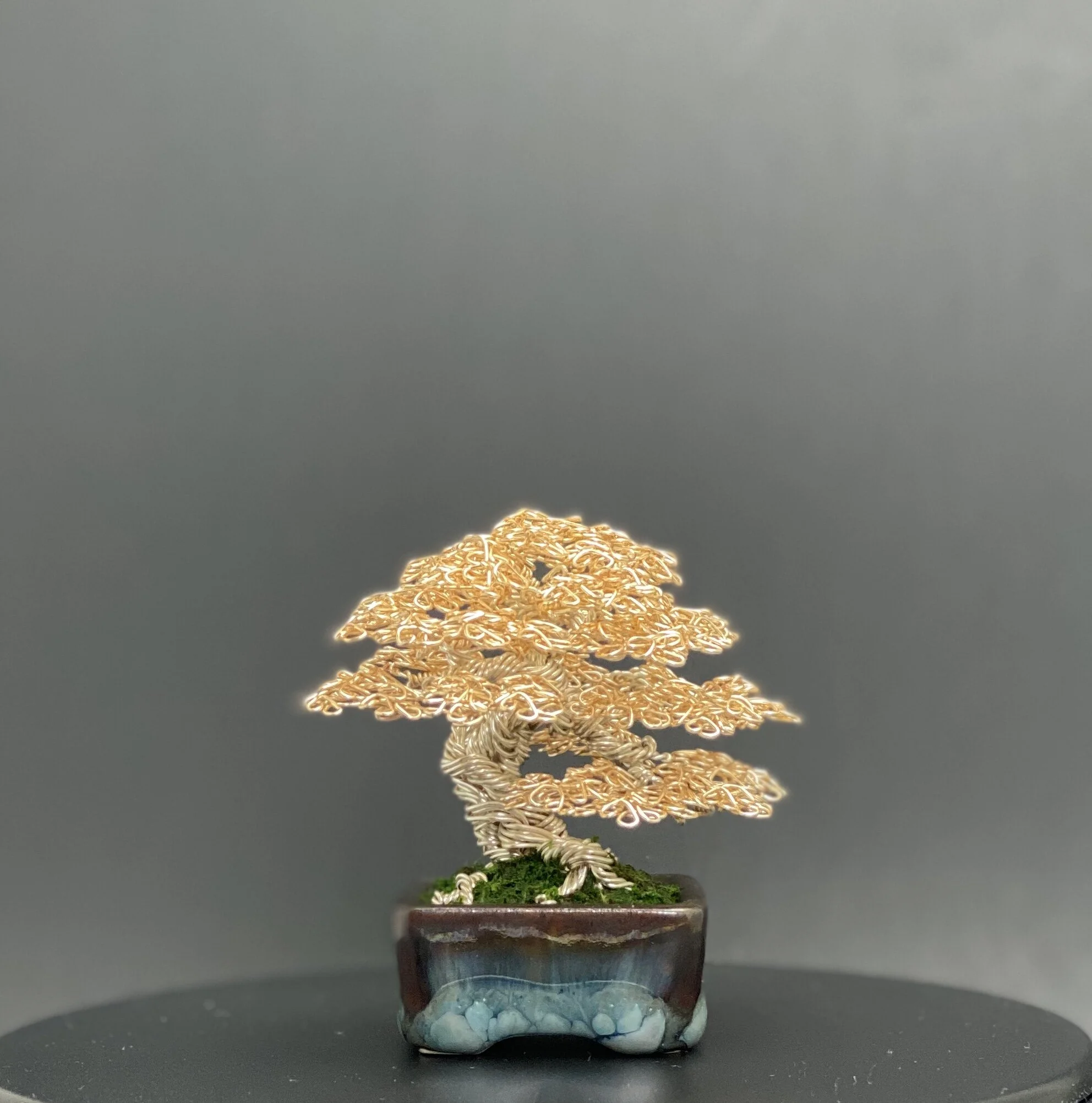 C42A846D-52F7-42A0-9B50-47CE6AF892D8