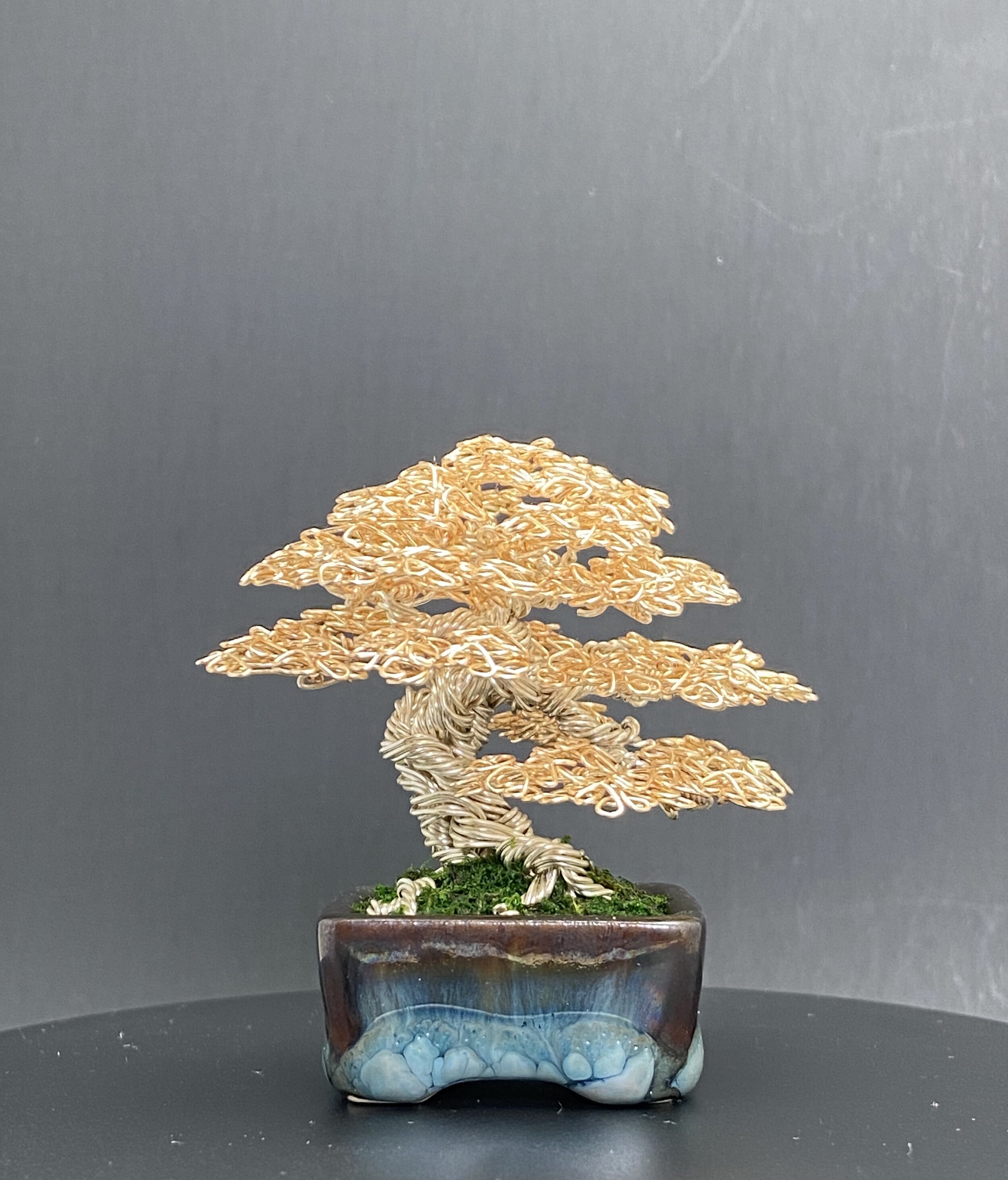 DD652167-C212-4944-9D78-23AFD463A9B5