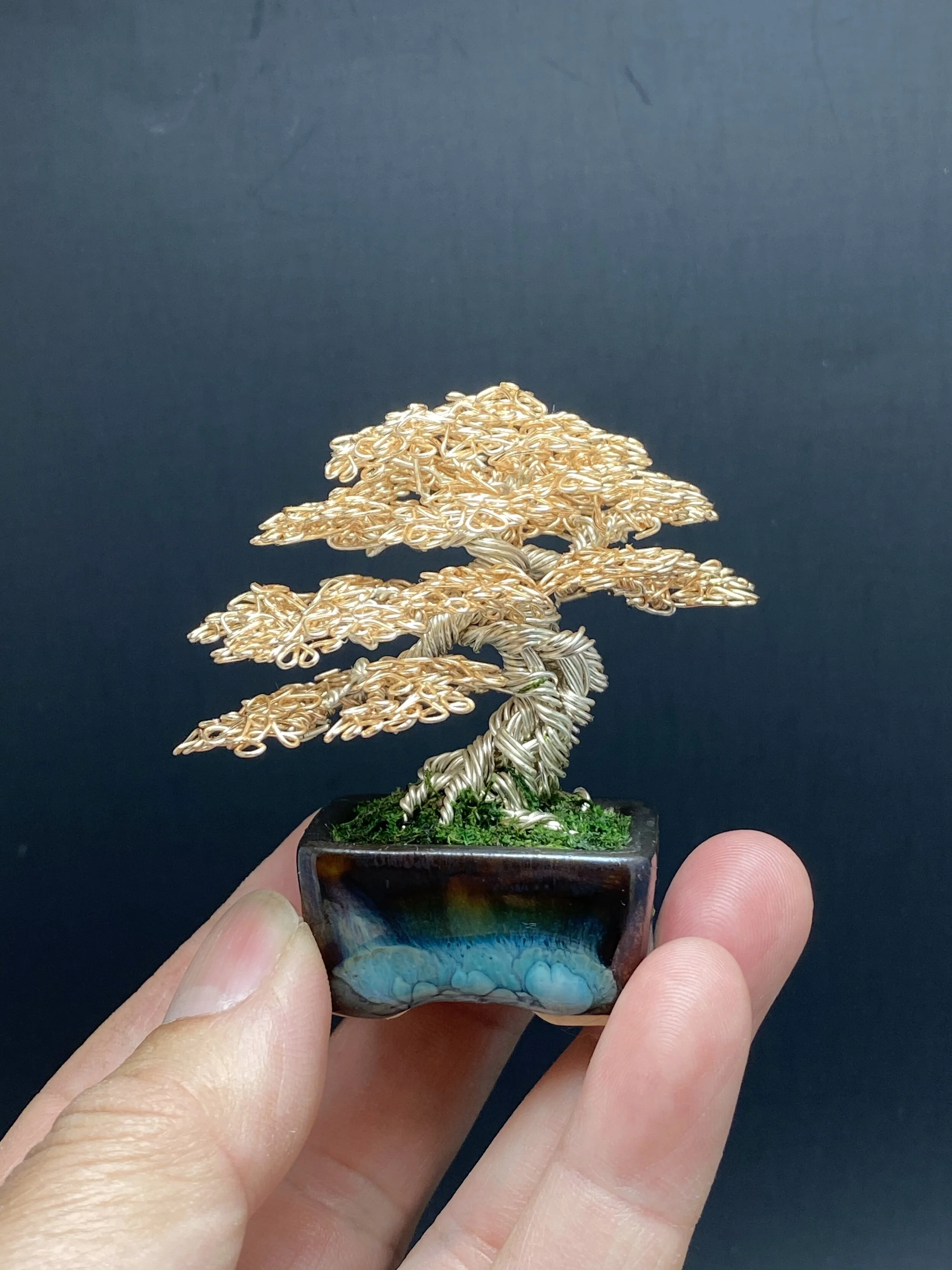 CA13C460-2BBF-447E-B5DD-FD6596C2CD7E