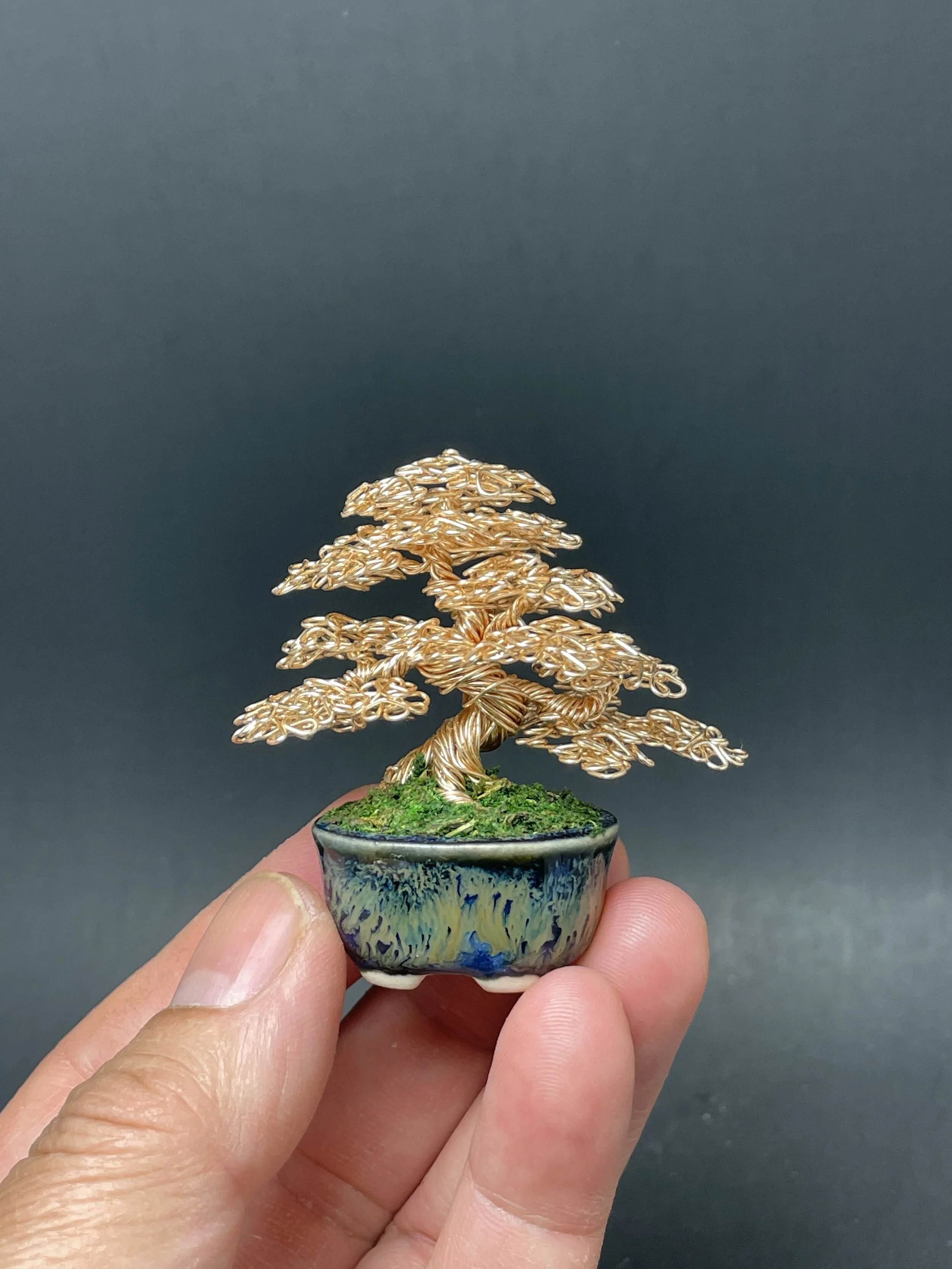 B694E35A-5BB2-4918-9C5C-4F075416D58D