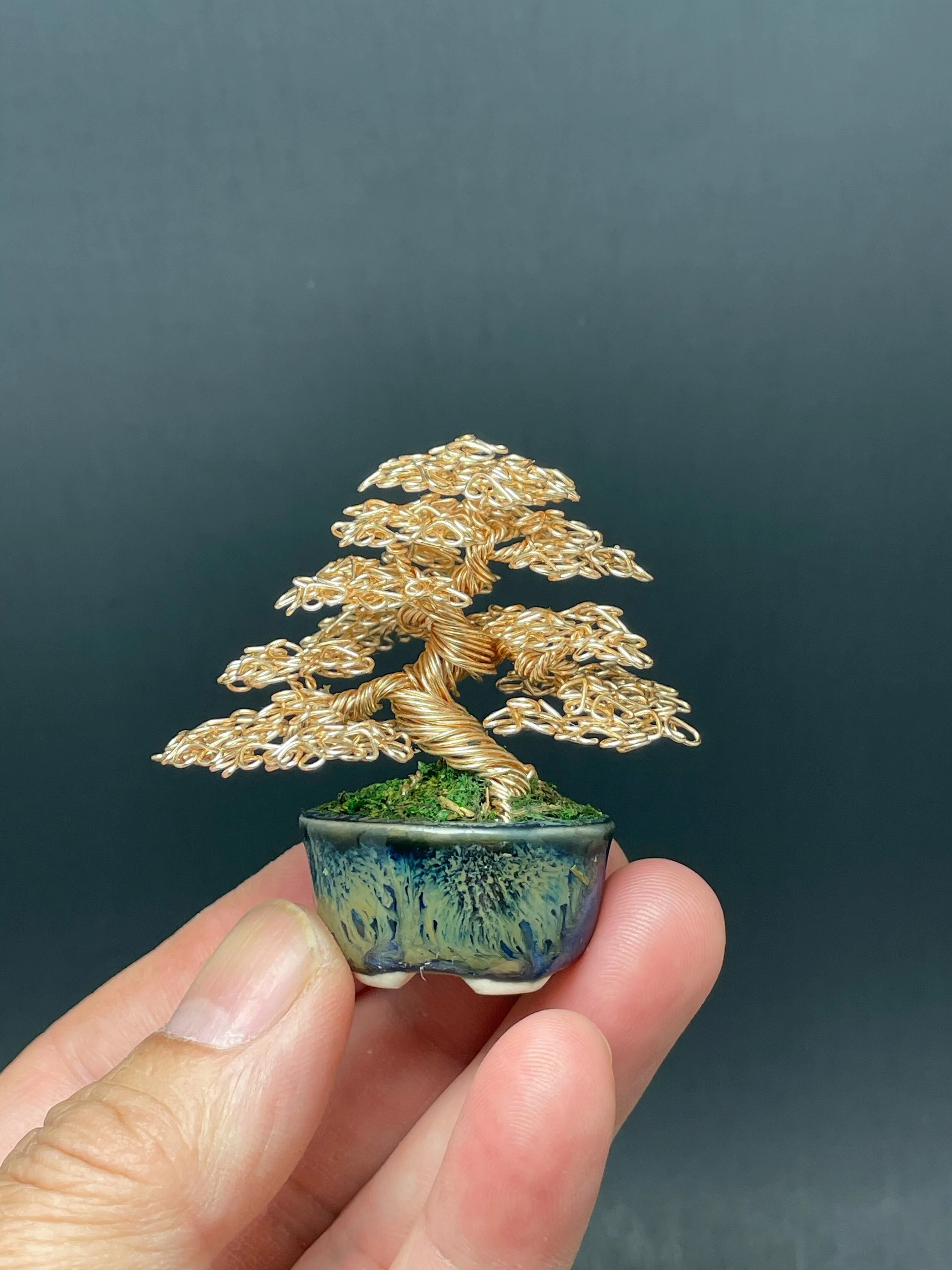 915EF043-342B-41B0-8C75-41BC4570A8AF