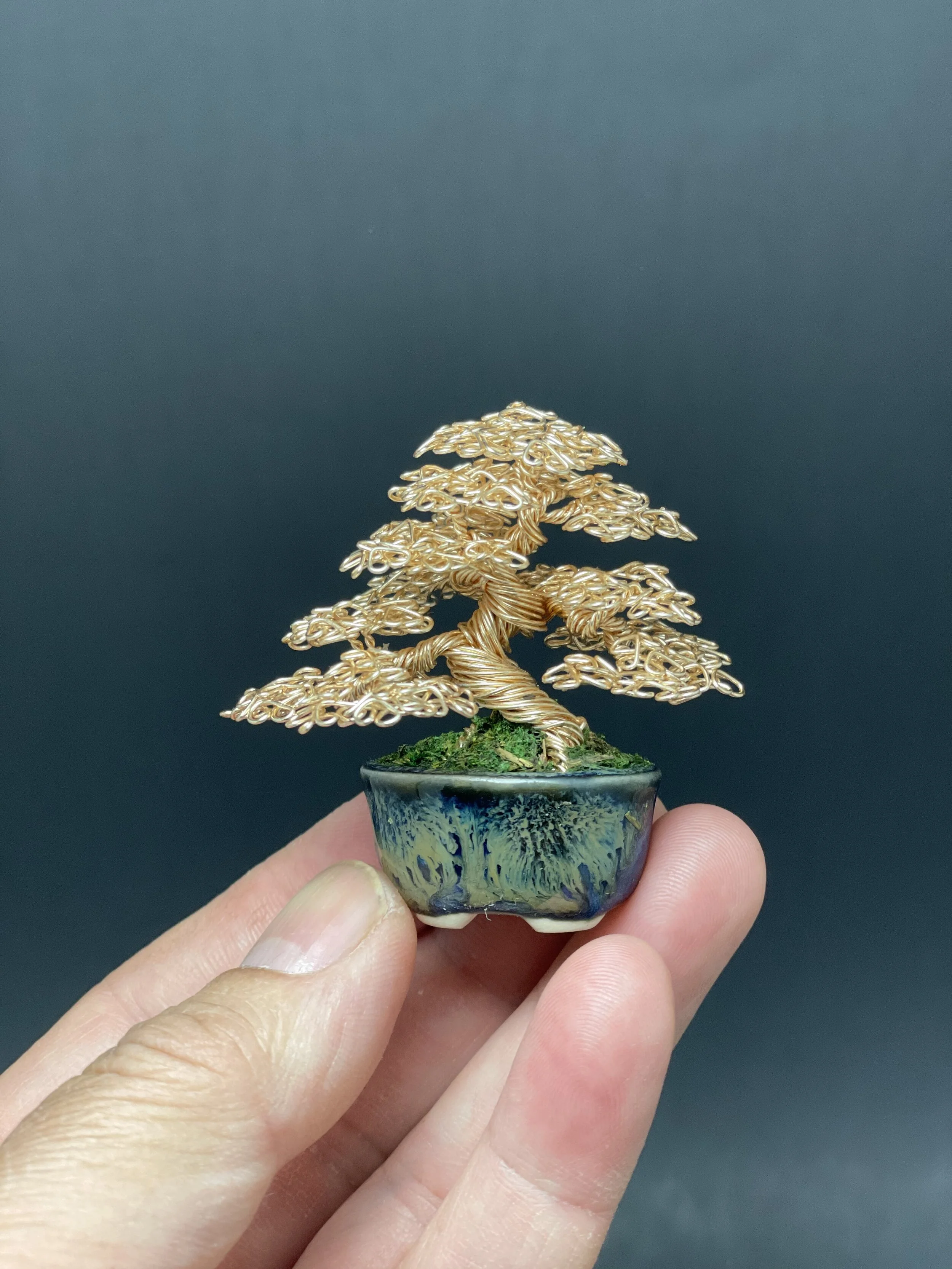 09245AA7-A679-4C33-B8B5-5C26C9CA3483