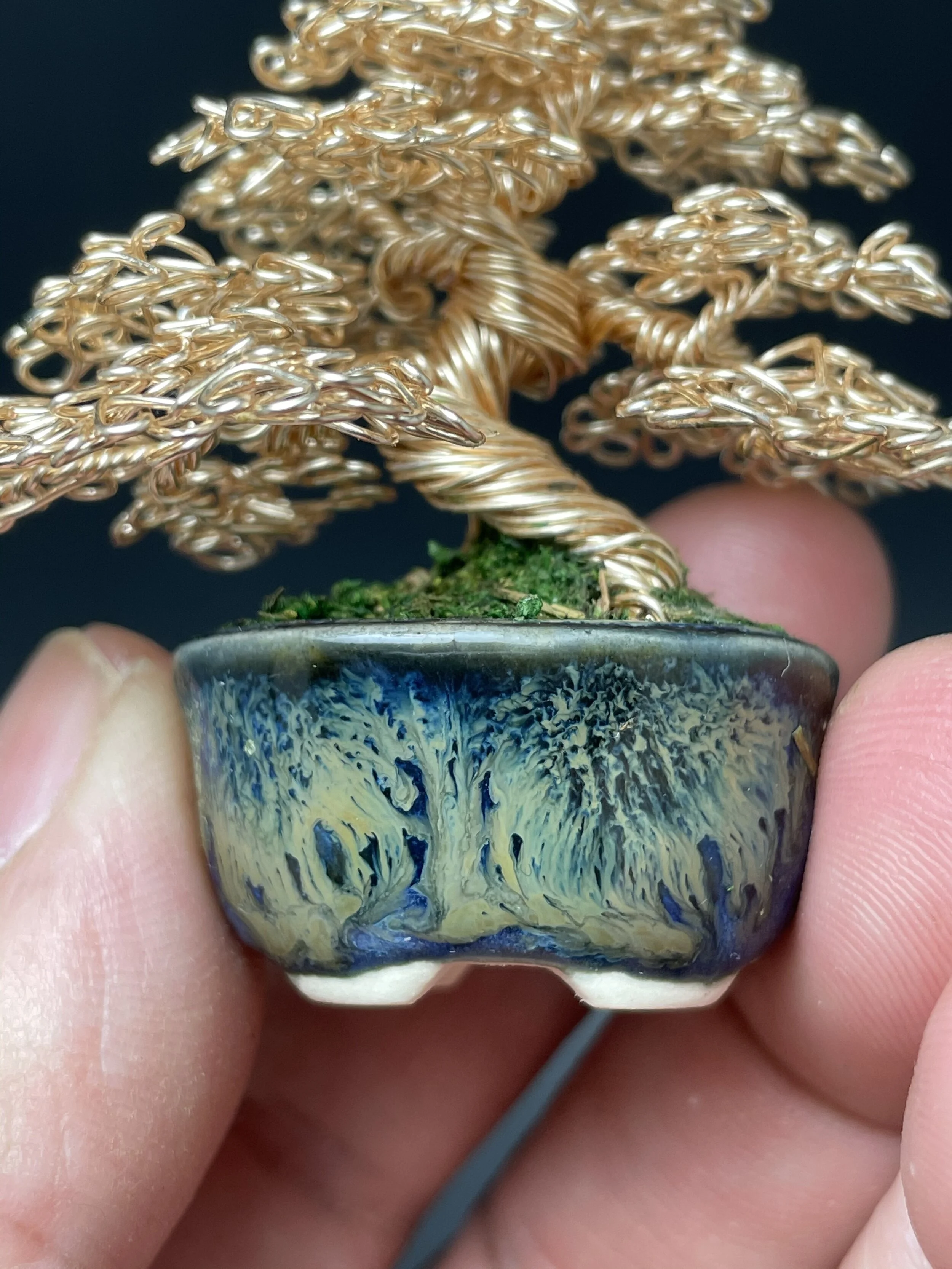 3DB08D7B-EA4B-4F6B-B28C-0EC851A491E1