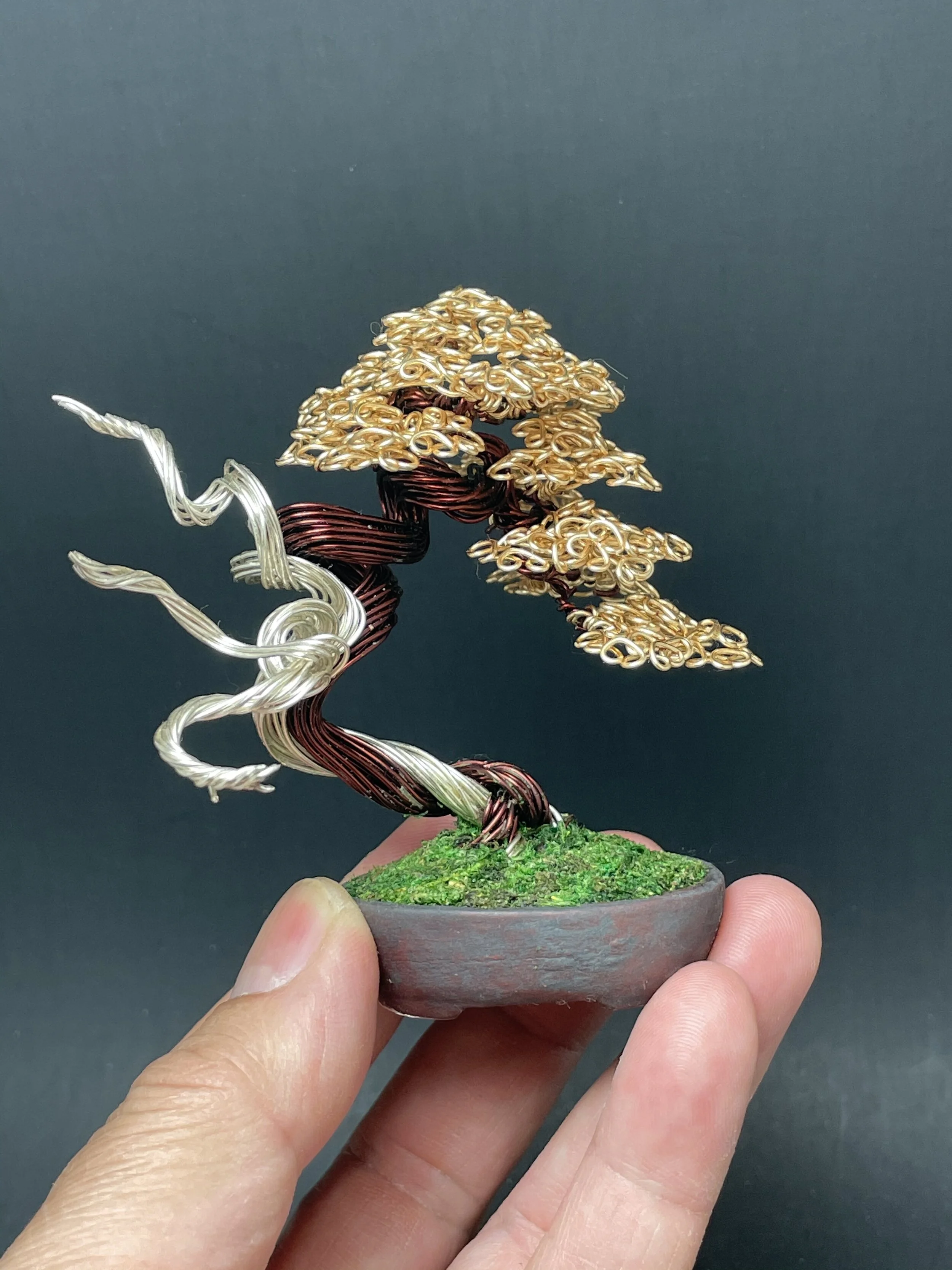 516848A9-46E5-4EE1-8BA3-73E9B1F50DBD