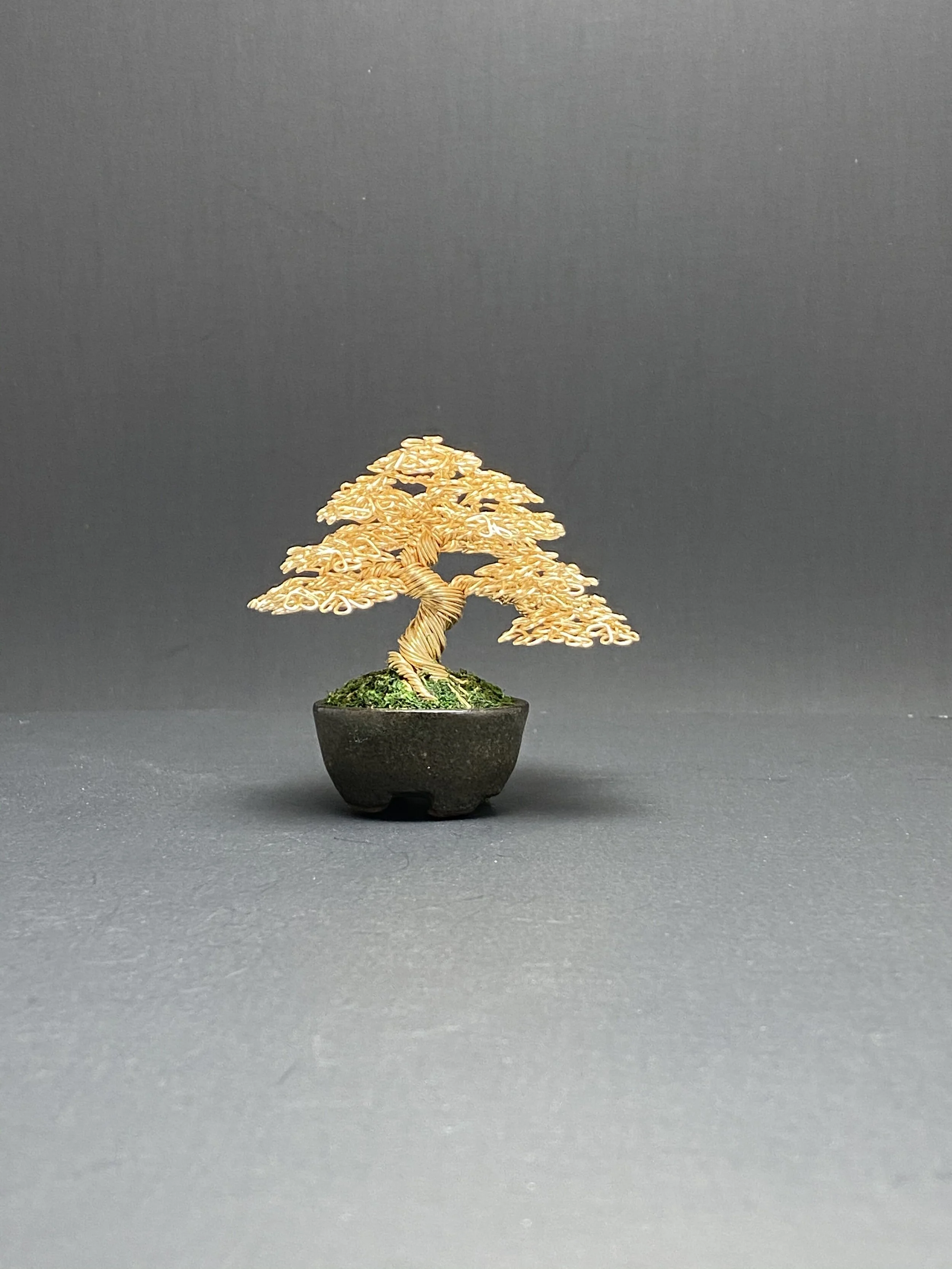 960F006E-A10B-48FB-9A35-D8BAF1FD58C7