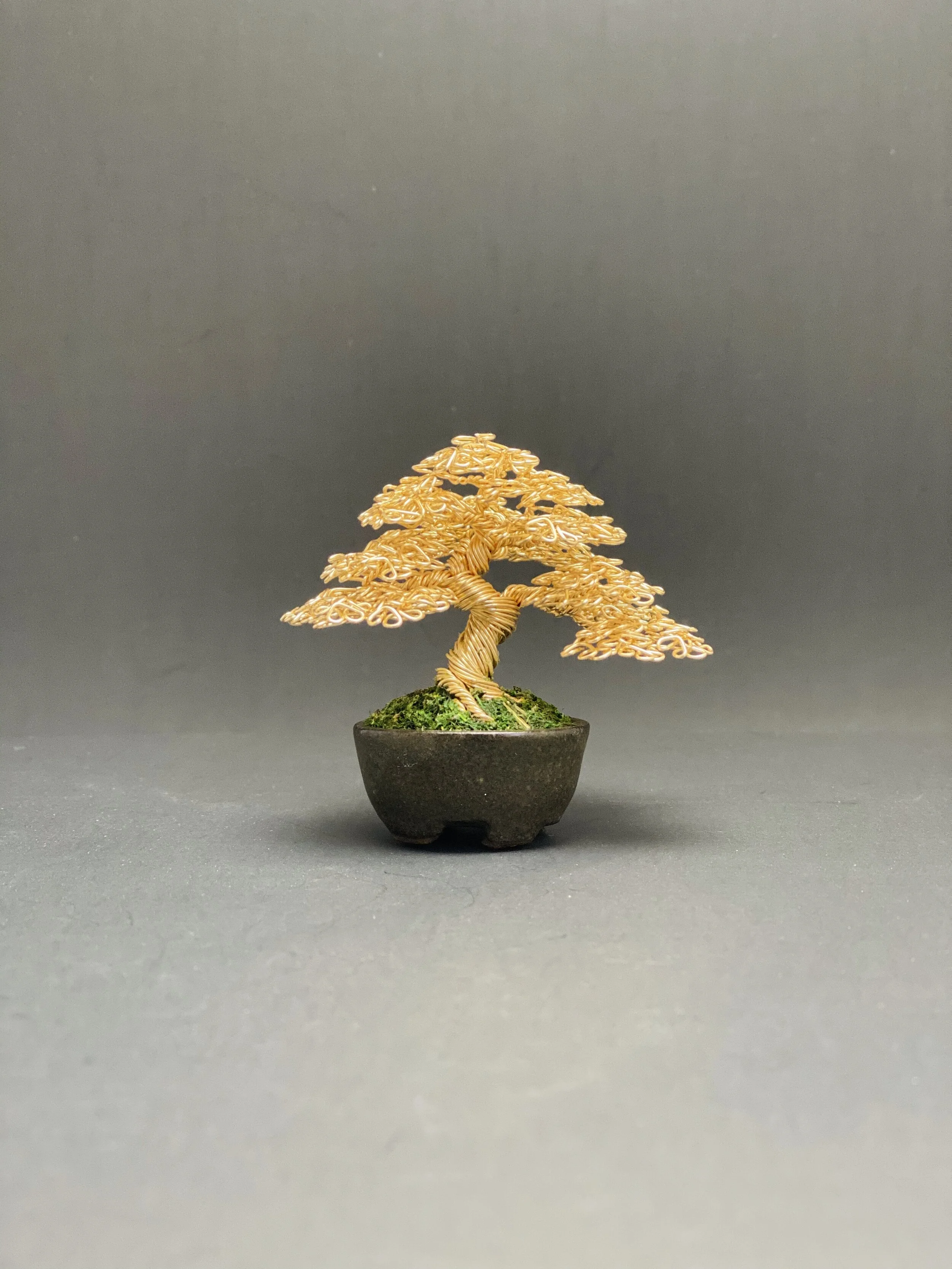 5B30C9C9-A4C8-4E24-A75F-9EFBD6C940BA