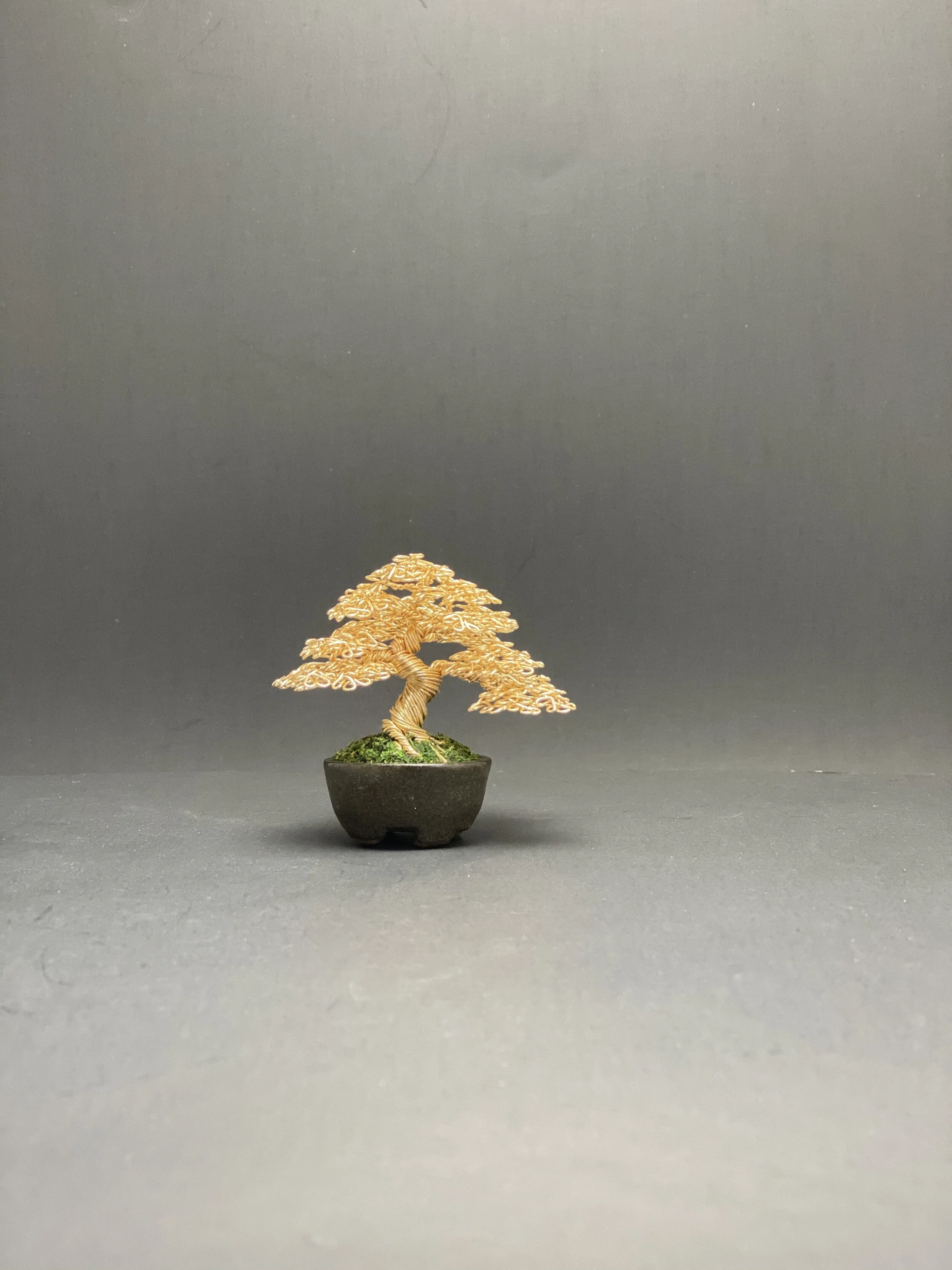 99A42B84-FEF7-429A-94FD-73BB106764E0