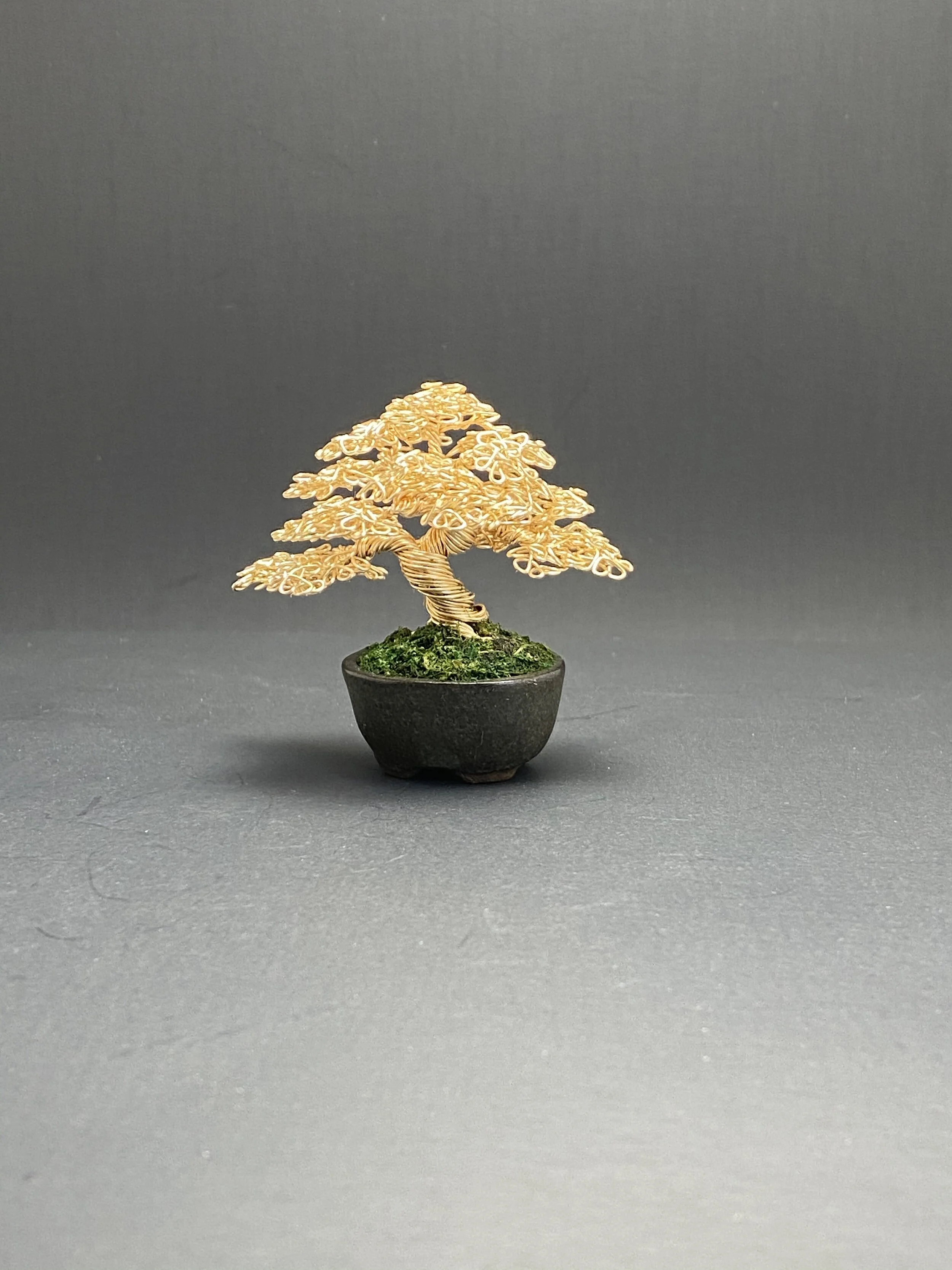 54193D91-96B1-43EF-9EB3-96EB2B3B4CBE