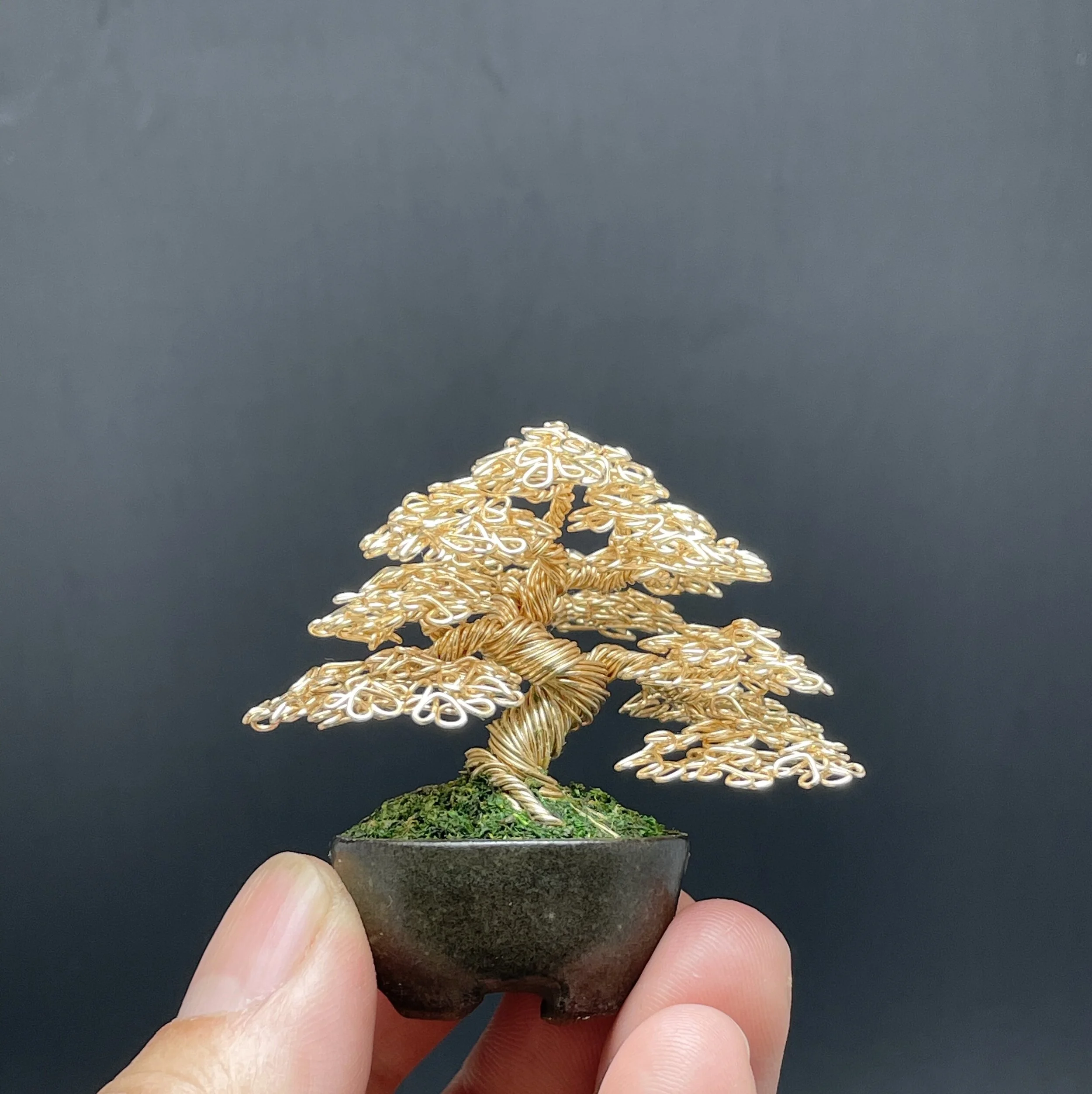 D2F51BA3-C957-4281-B7B7-539F4E1B9C10