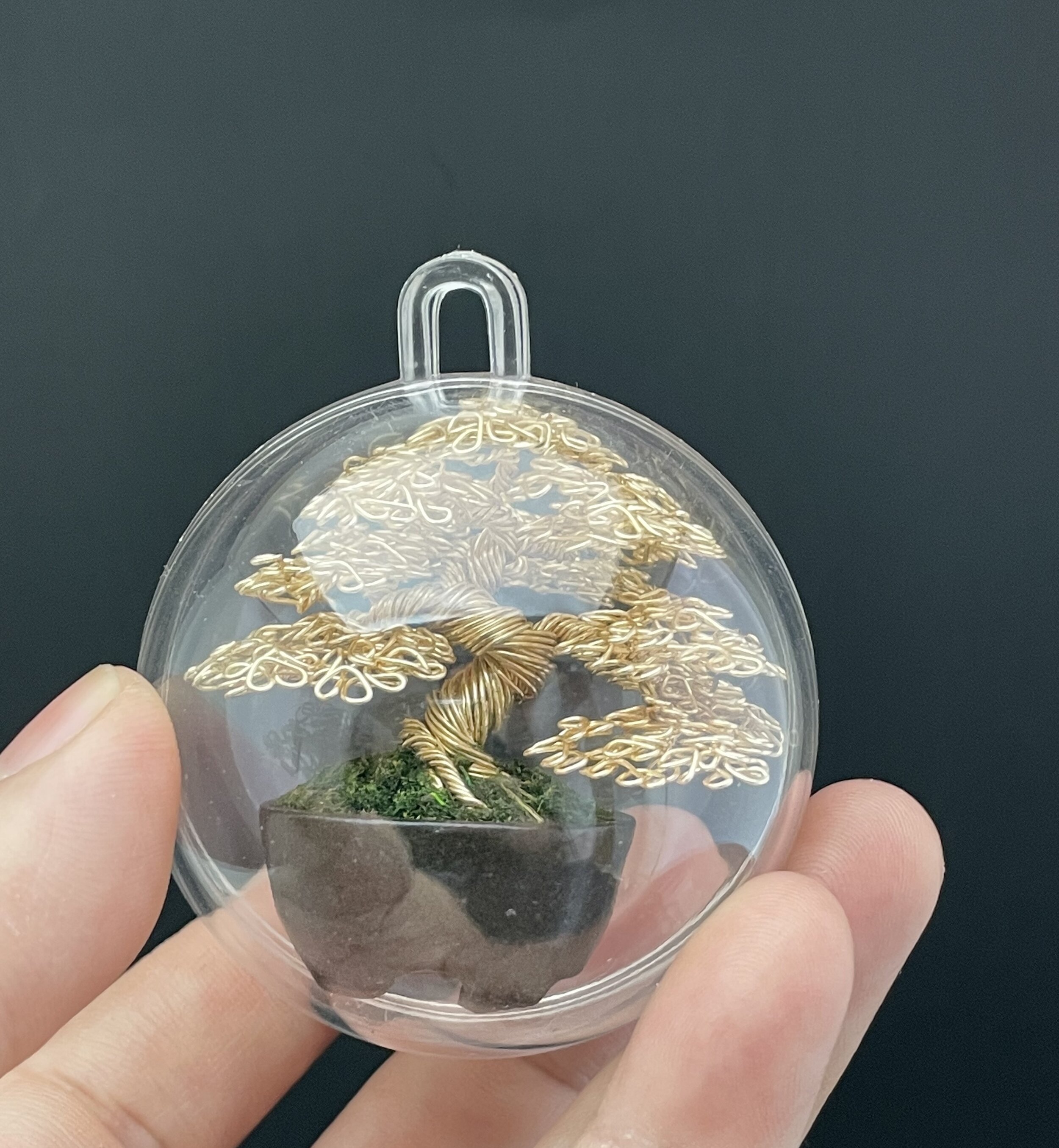 6A4D19DC-259B-450A-9E10-190DBC12034B