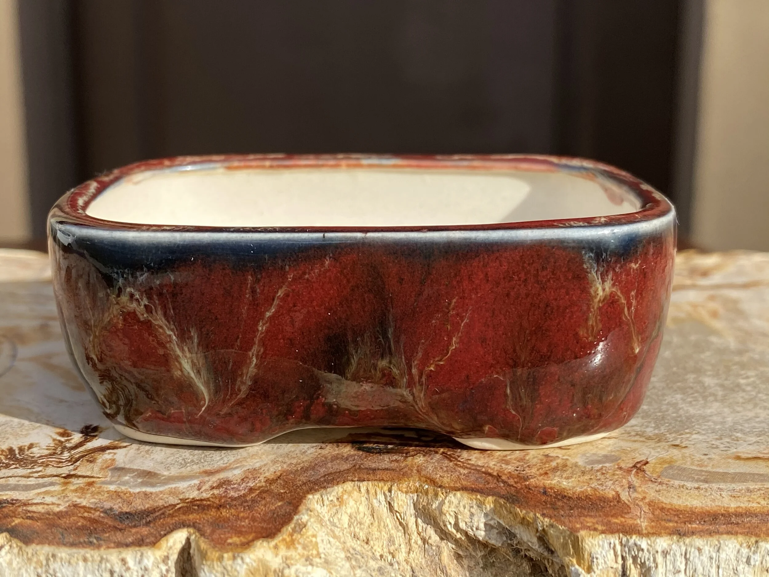 D78FF255-D724-48AA-A2C9-BFF0C3704CED