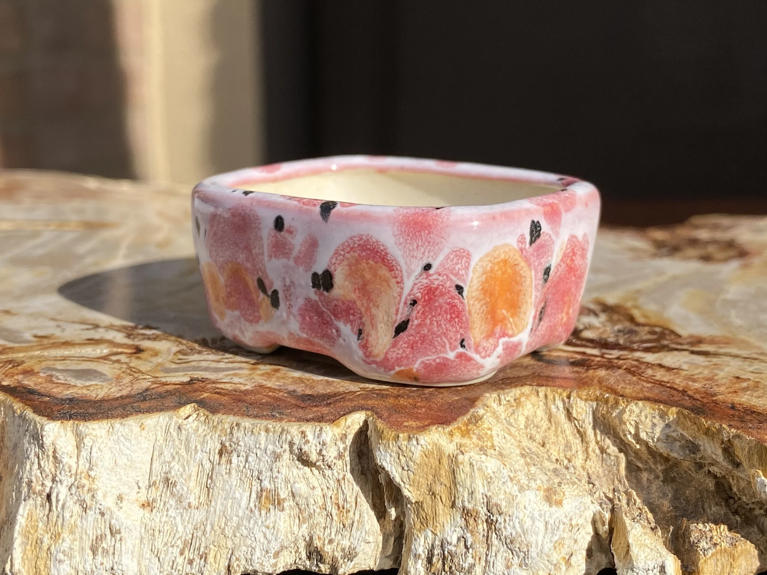 F8C047D6-5838-48EC-BD51-3AC26EEA982D