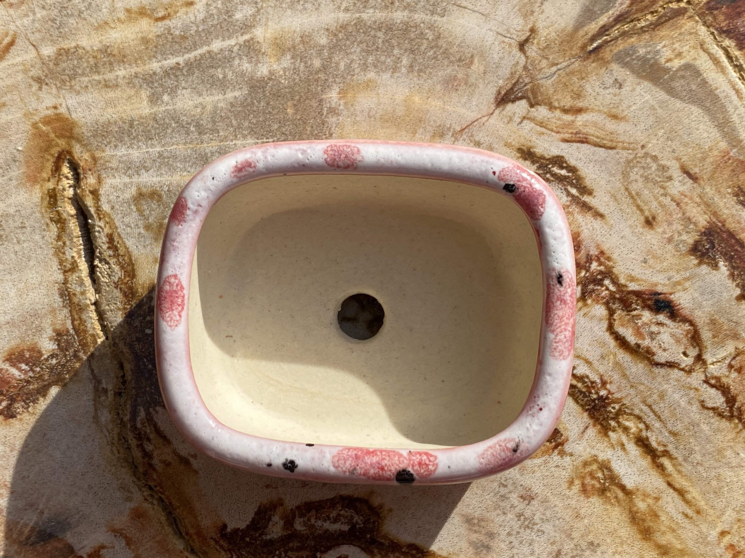 4BB0D71A-3211-4D12-9073-FC9DE9E1CAA9