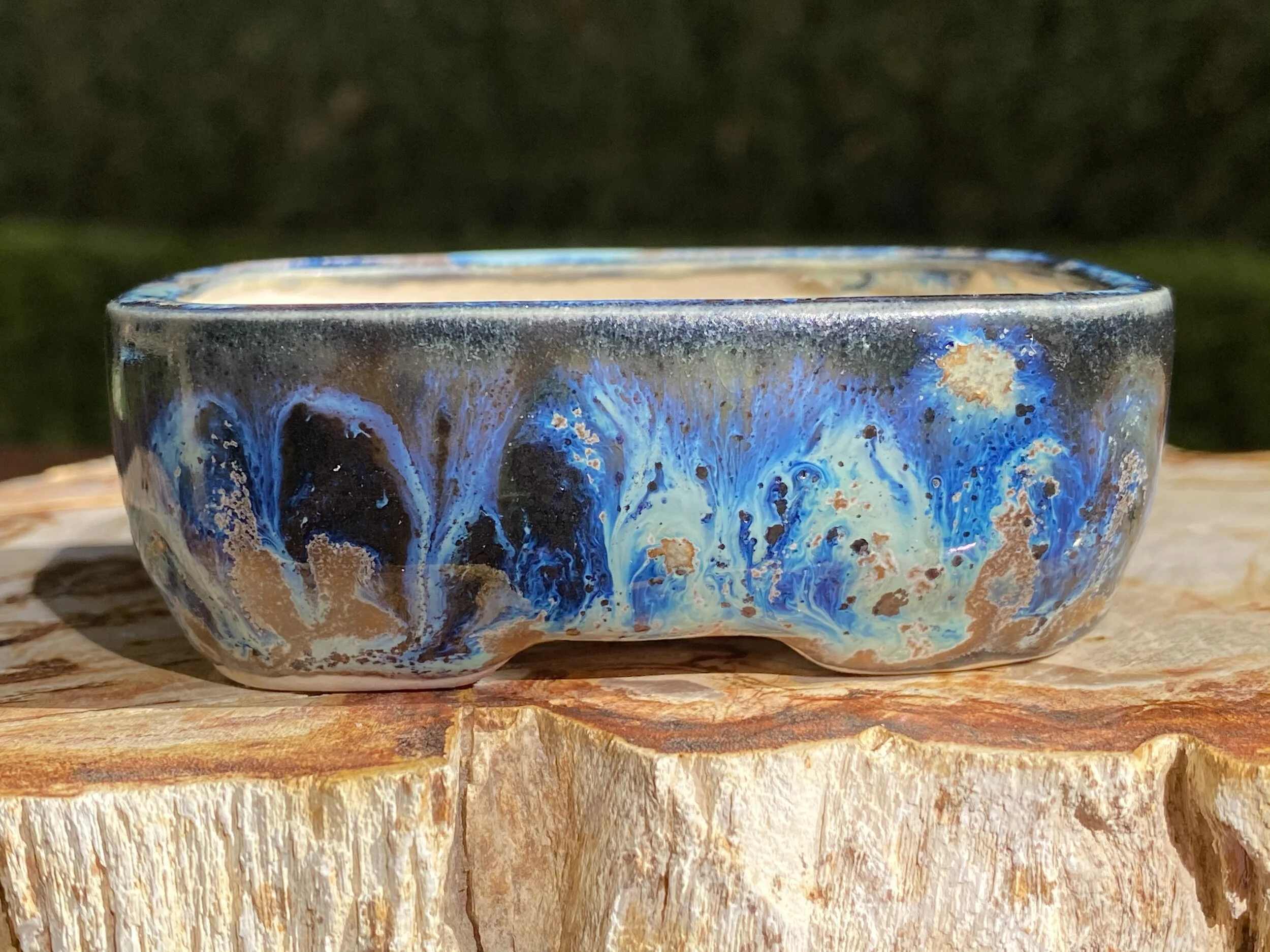 A295A738-7EE1-4FDA-AC87-3F3F501B6F05