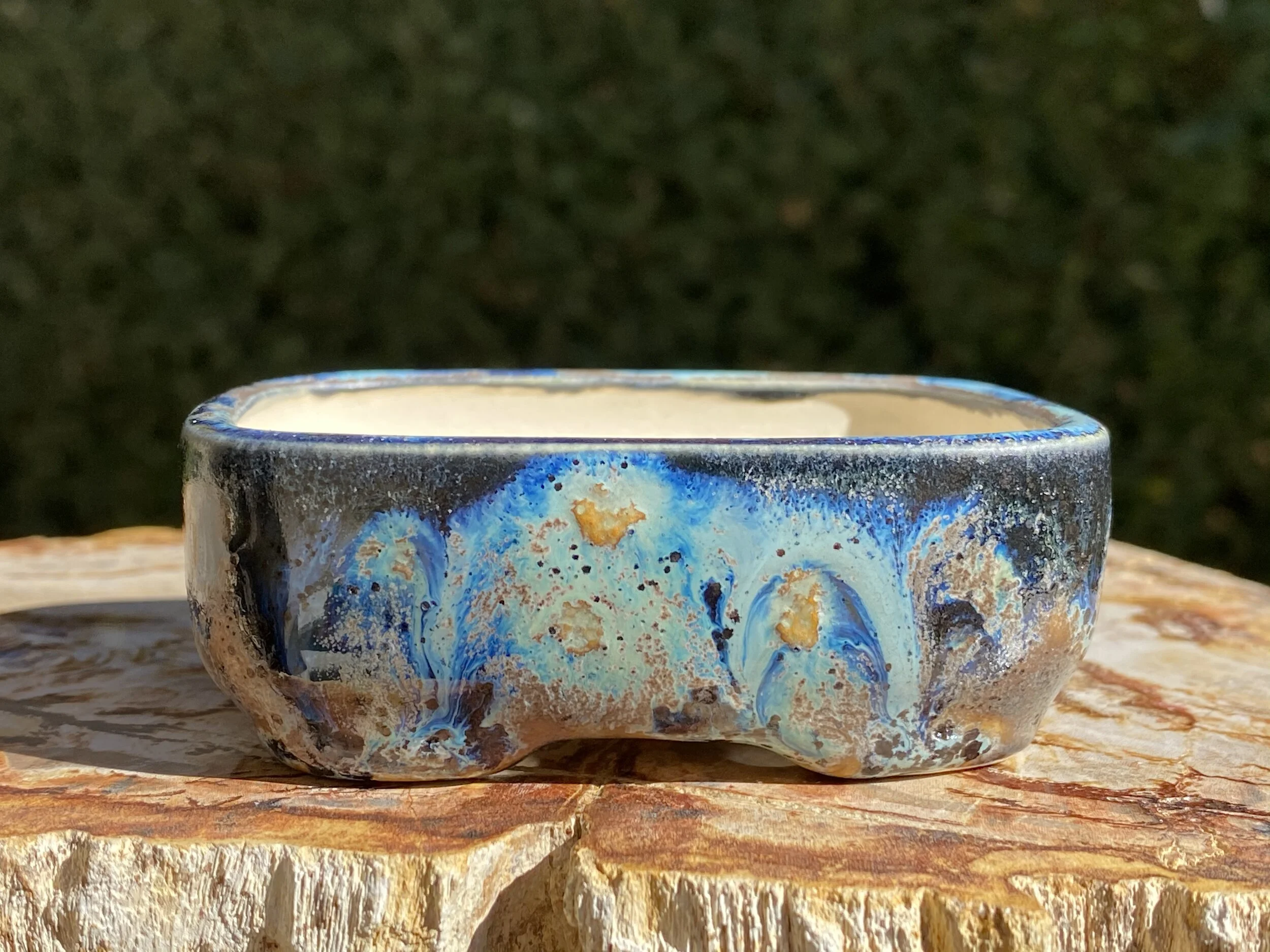 DC5A66EF-EFEA-49D1-ABB1-F74B700FE6B8