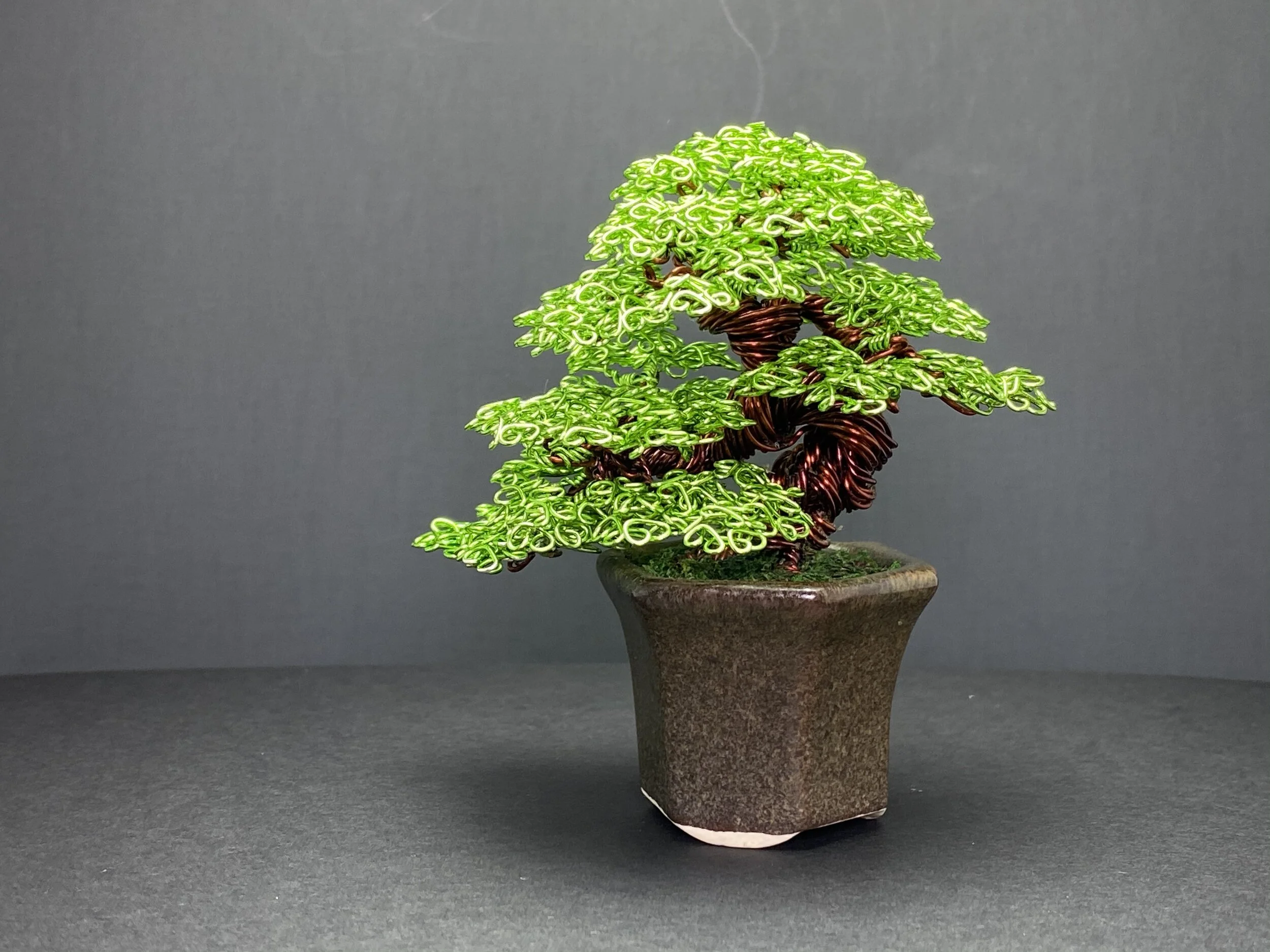 CE7B4D3C-2193-4751-82B9-20466E4FBD6A