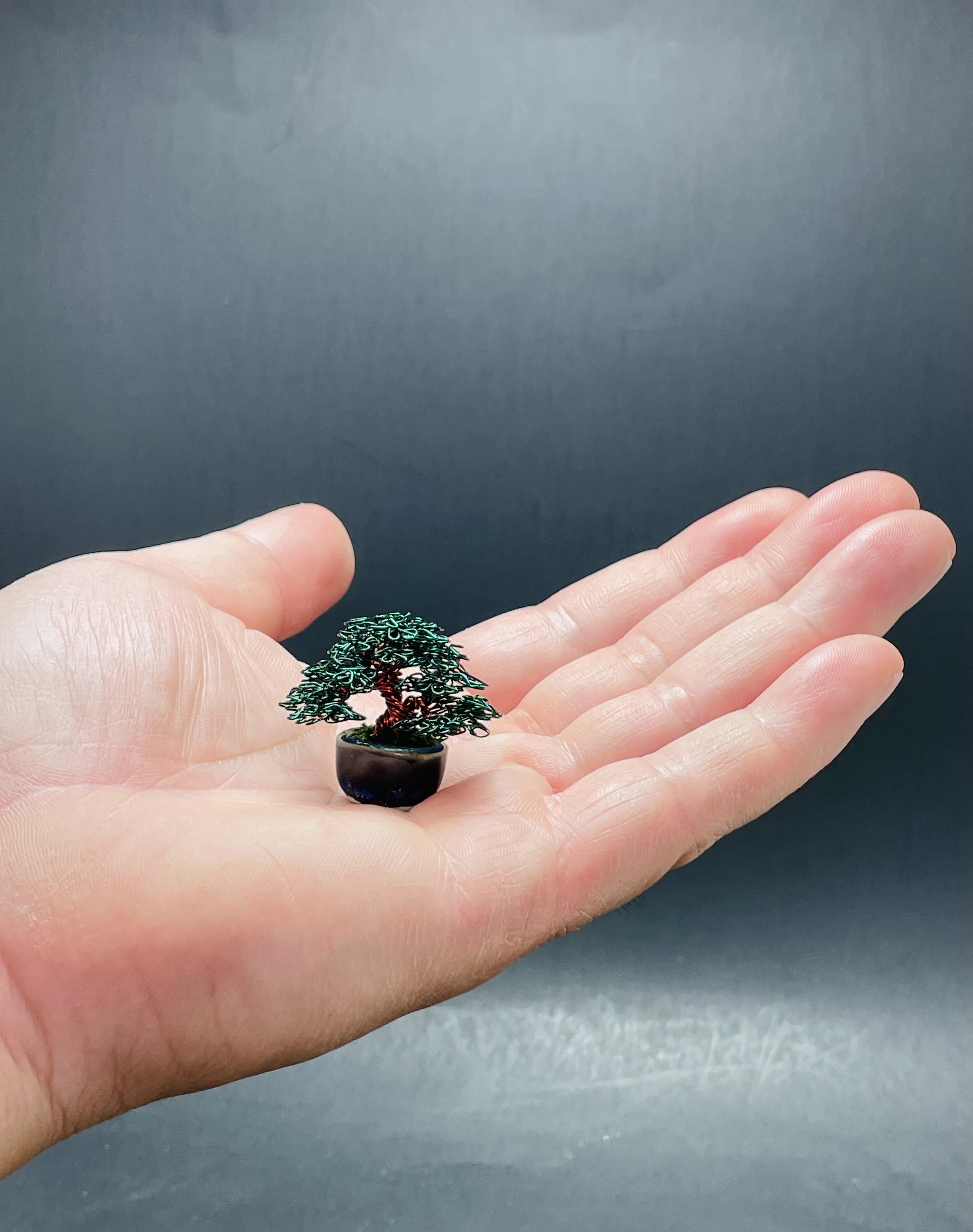 58BDA359-6A7F-4D13-9208-C959EC88A3A8