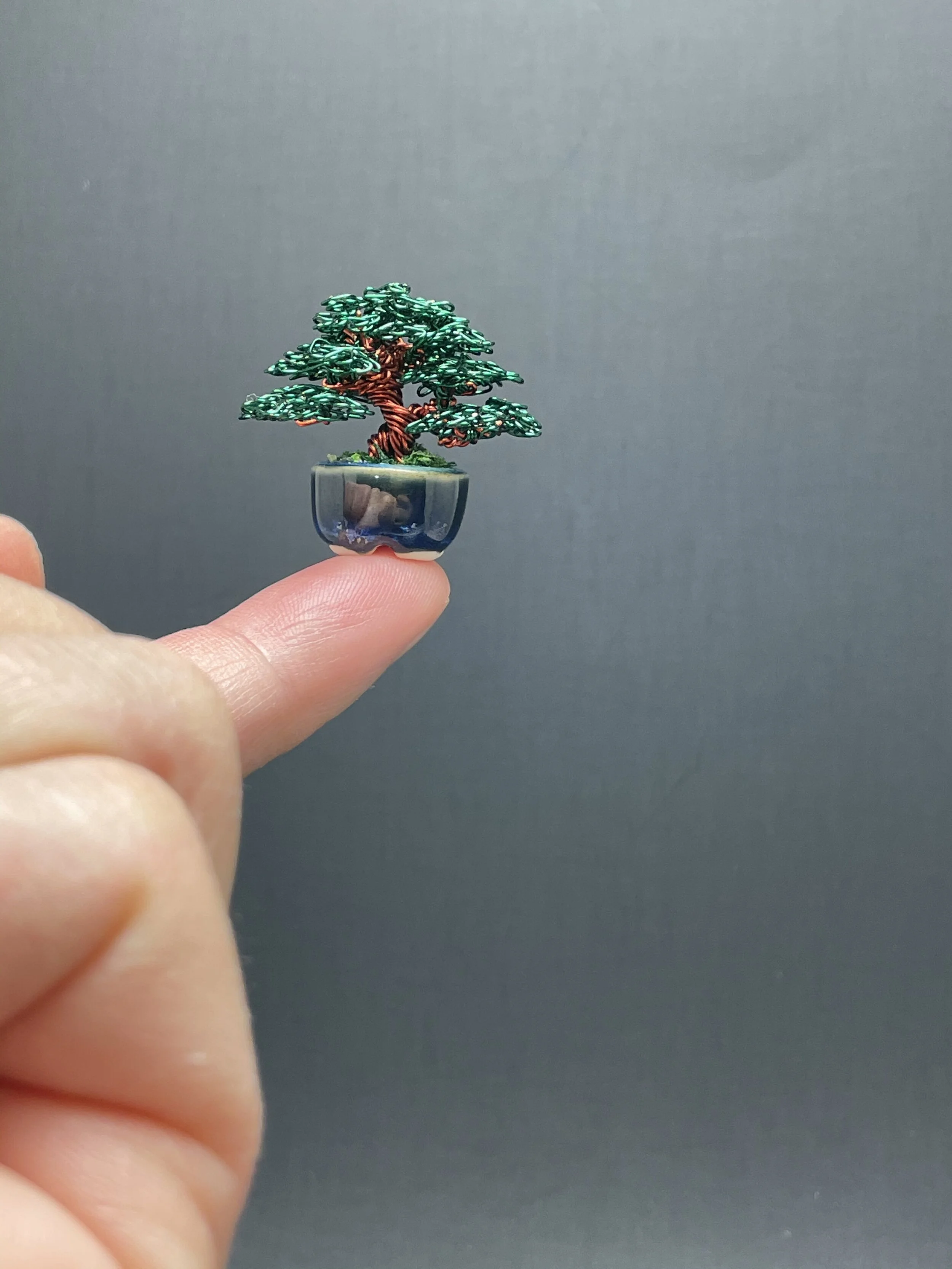 4AB6FDBD-4432-4F22-BFB4-747629C4191A