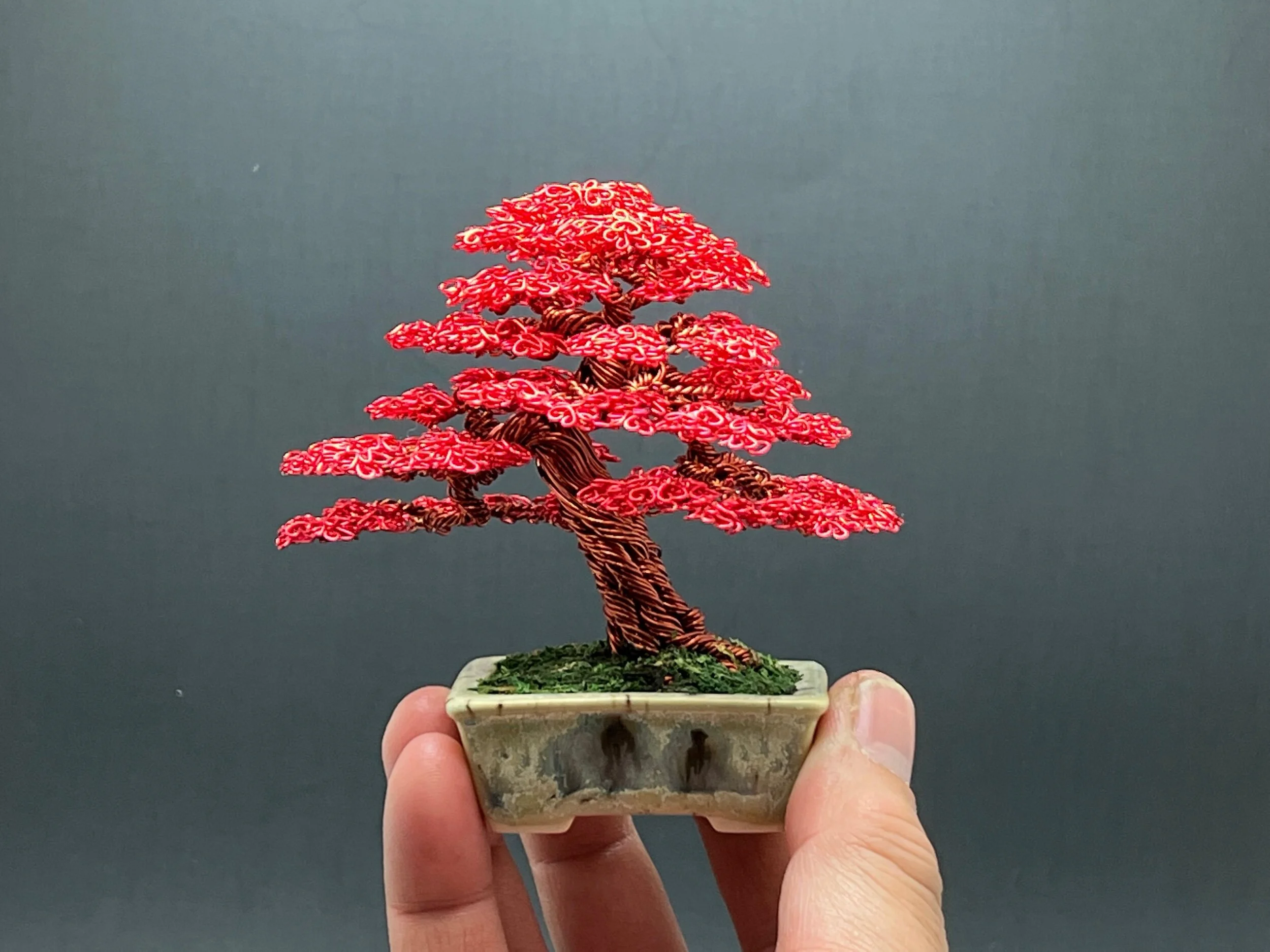 D3C67B57-4402-4B4D-A154-8DD81B70CCC2