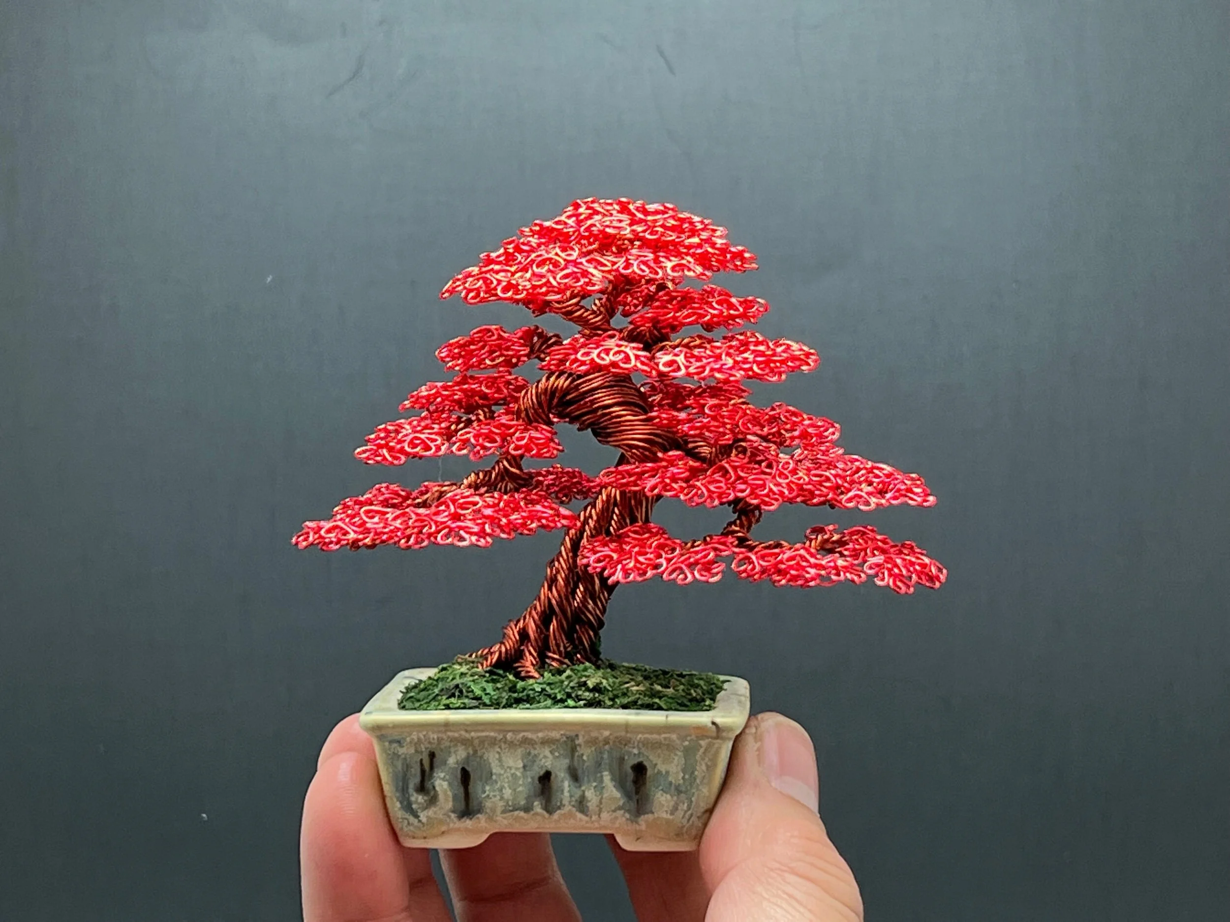 0CF4BFC8-CE5C-4FA5-9C03-509E3F069E0E